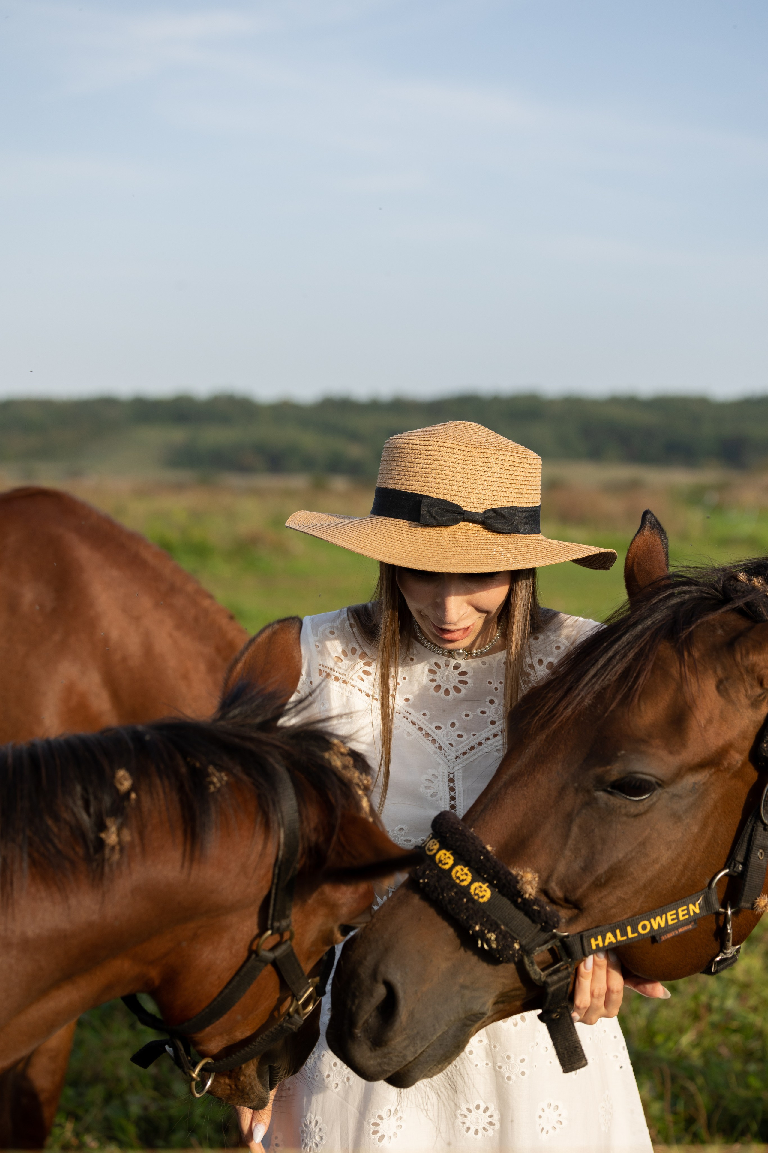 Лошадка на ранчо, модель Екатерина. Главная