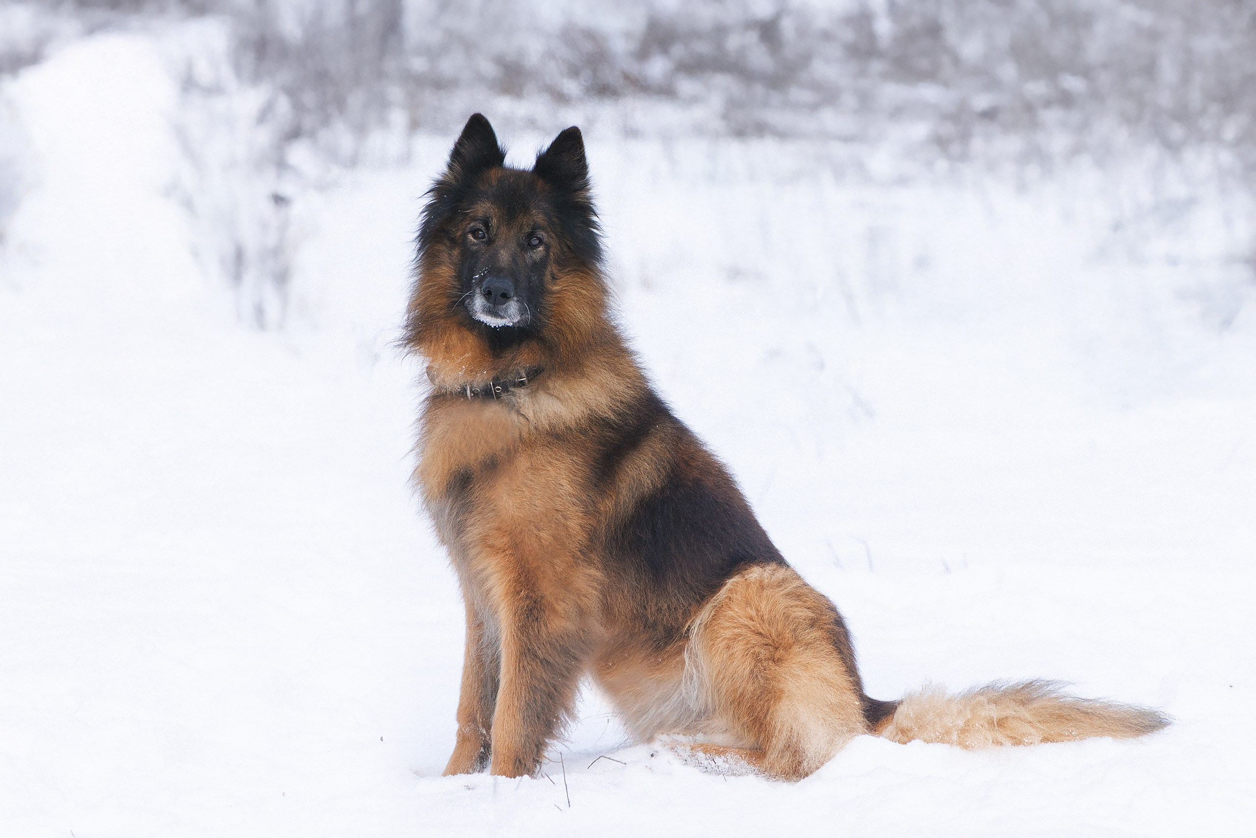 Пиар. Фотограф Ирина Астор