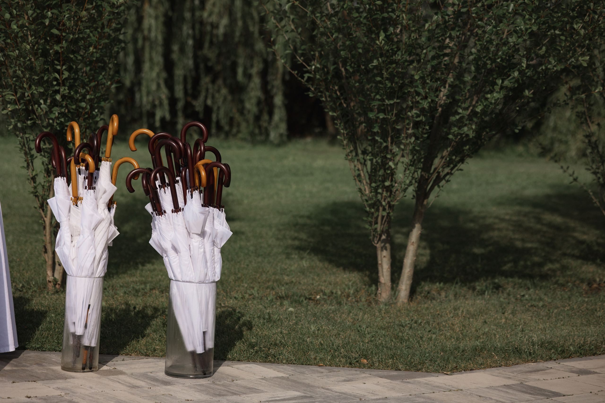 🤍. Свадебный фотограф Мария Жукова