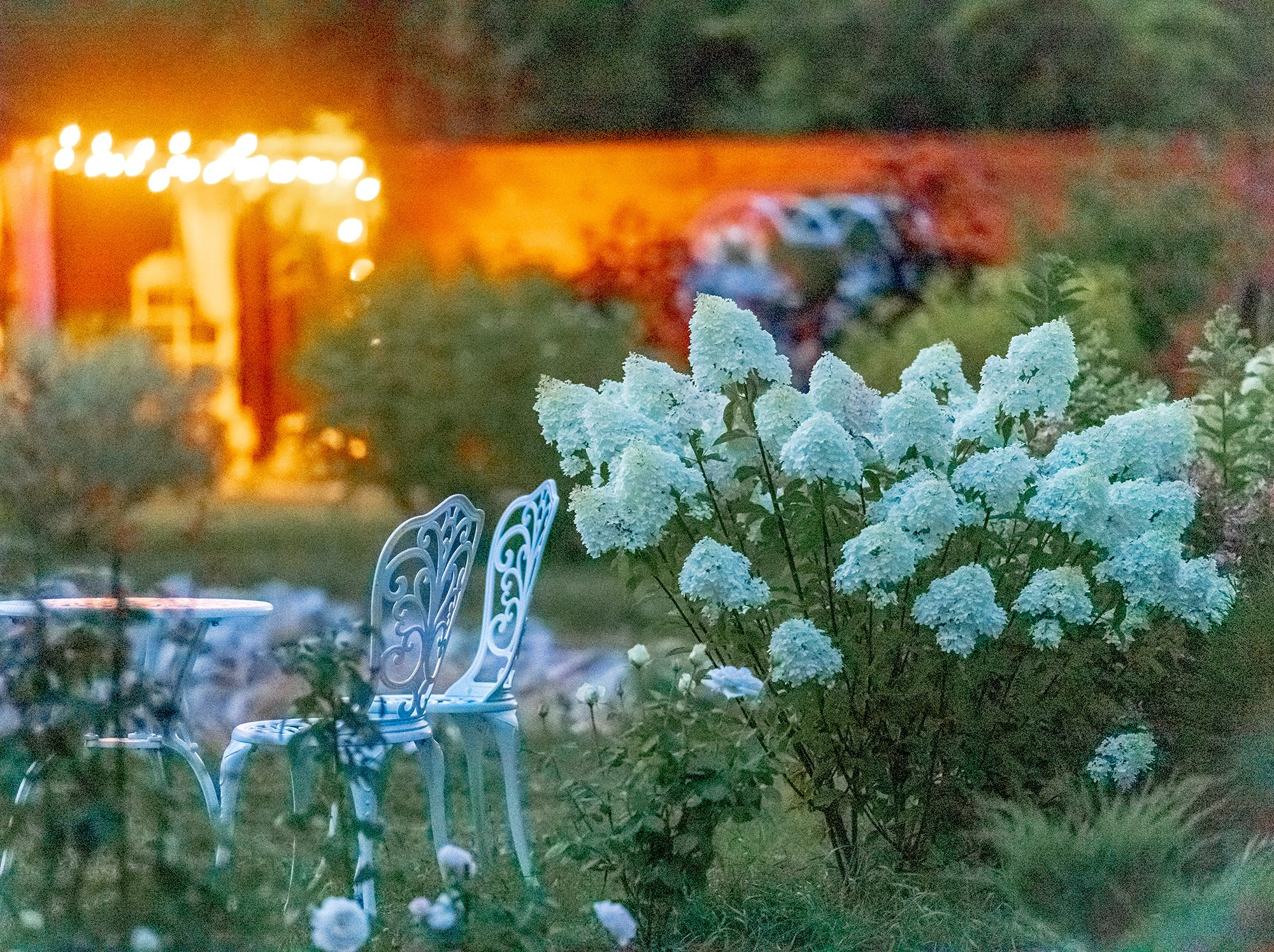 Парк-заповедник Купидон. Семейный фотограф в Димитровграде Елена Патрушева