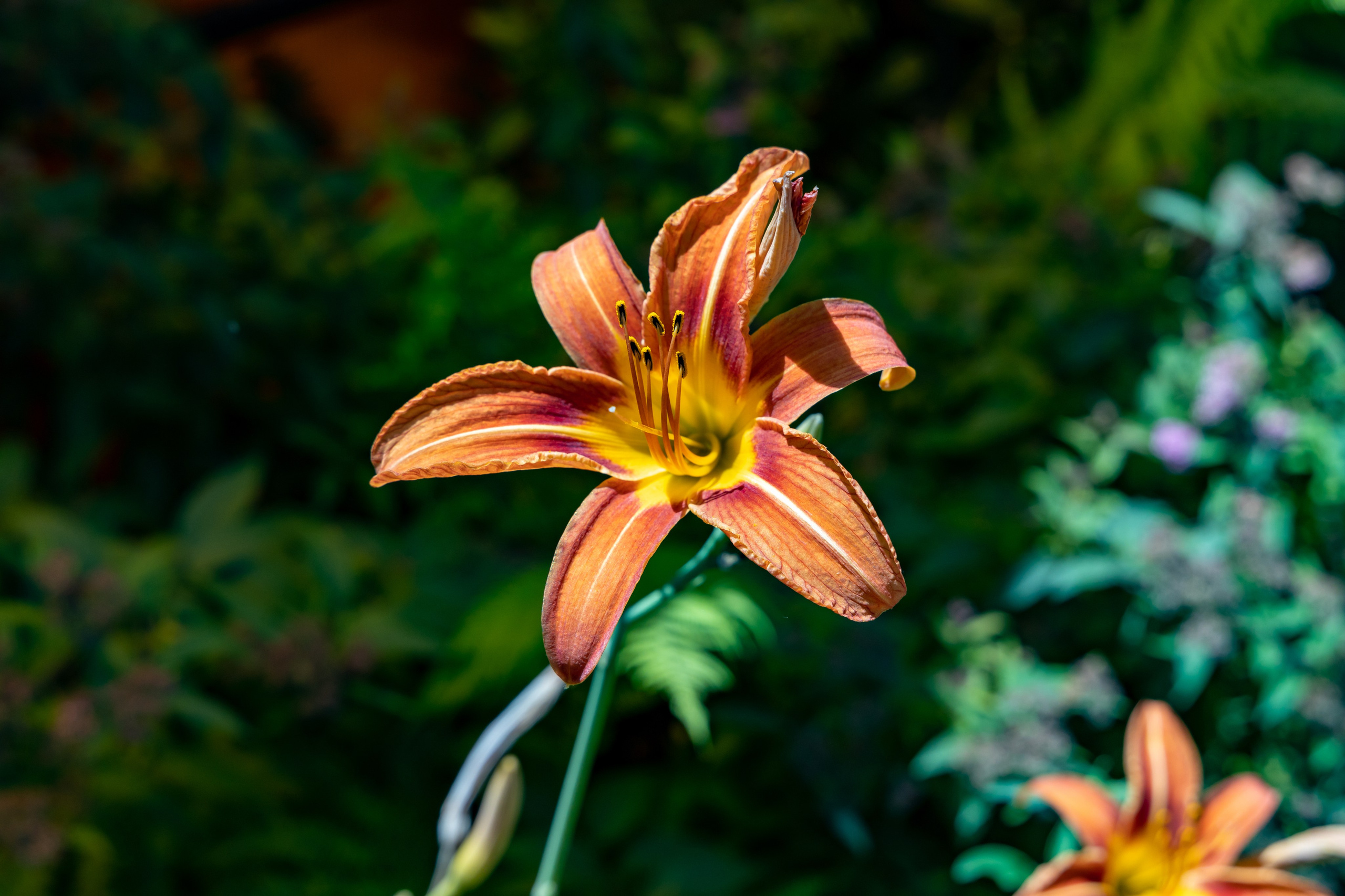 Сочи. Солох Аул. Репортажный, семейный и студийный фотограф в Москве Демин Алексей