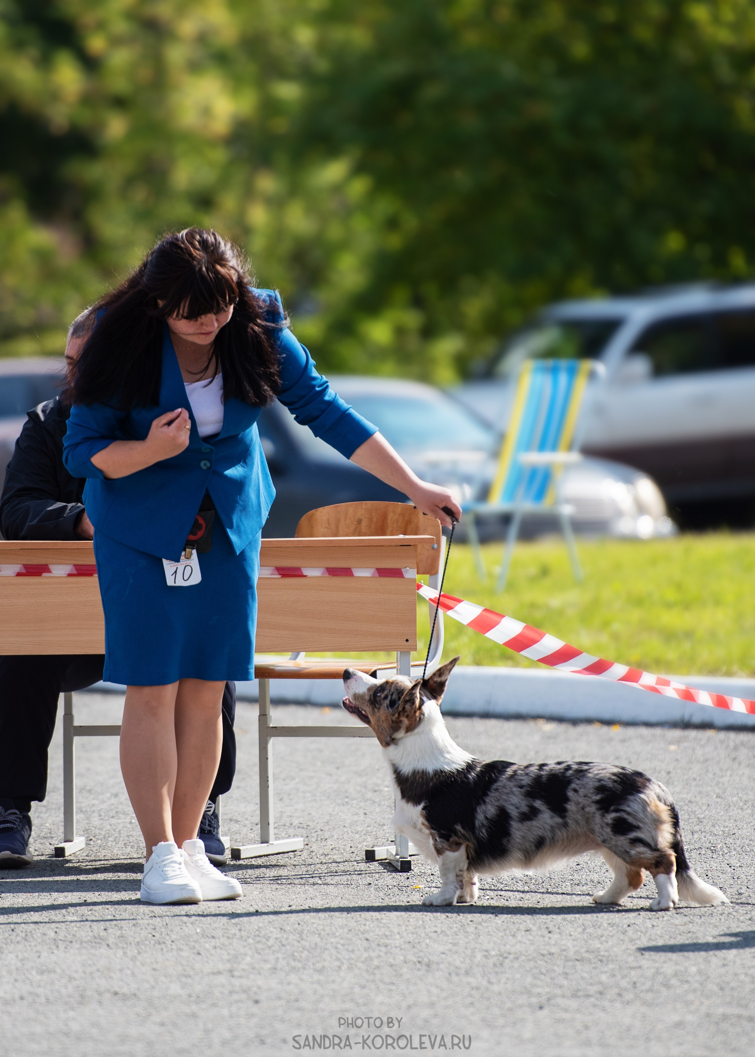 Выставка собак Тюмень 02.09.2023. Дог-фотограф в Тюмени Александра Королева