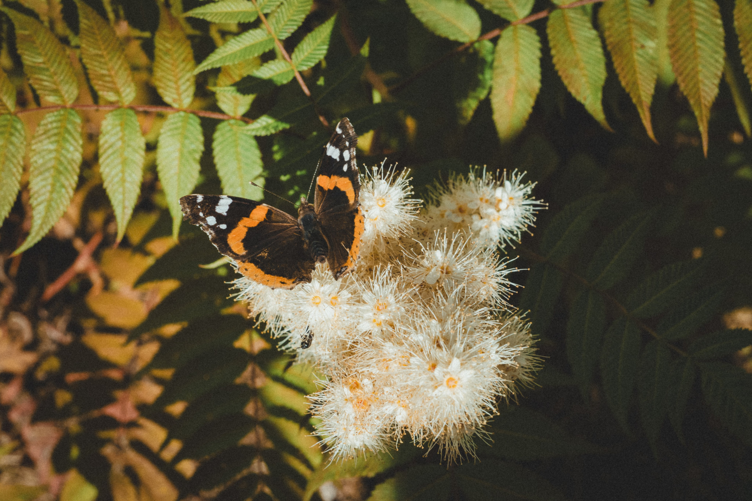 Уличная съемка. Фотограф и оператор Илья Гунбин