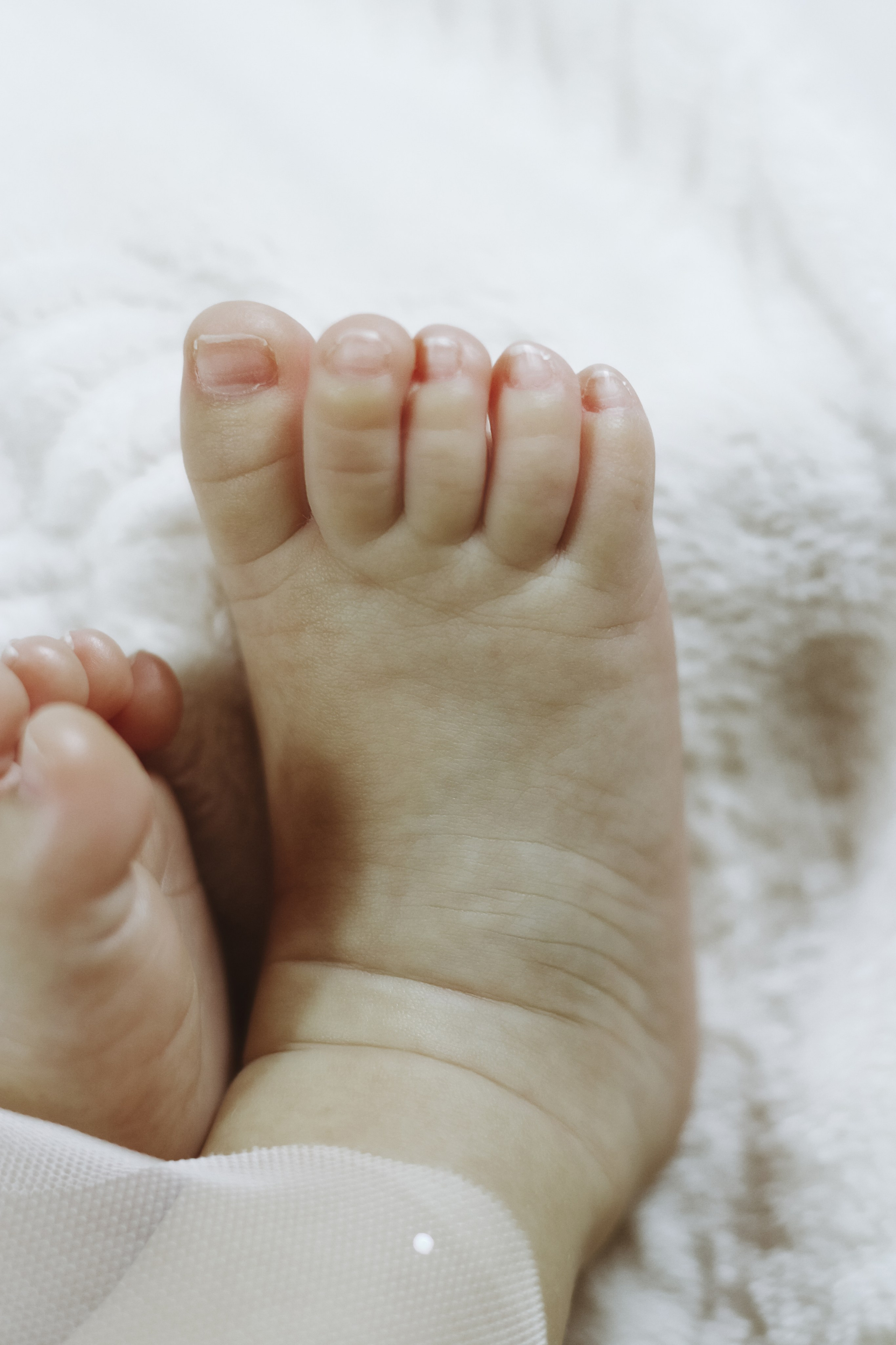 2 месяца. Алиса Томшина — Фотограф / Видеограф