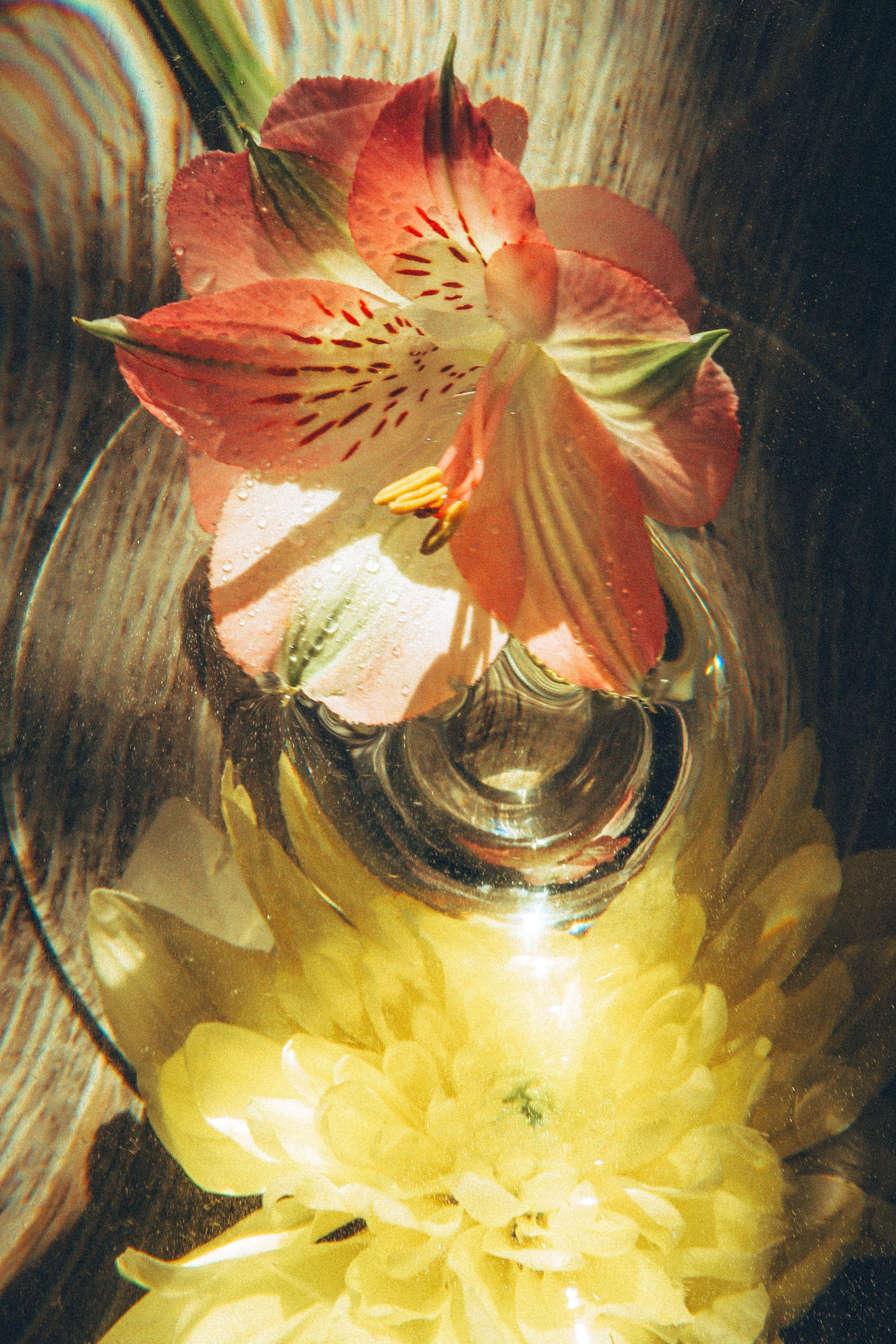 Природа &. Фотохудожник в СПб