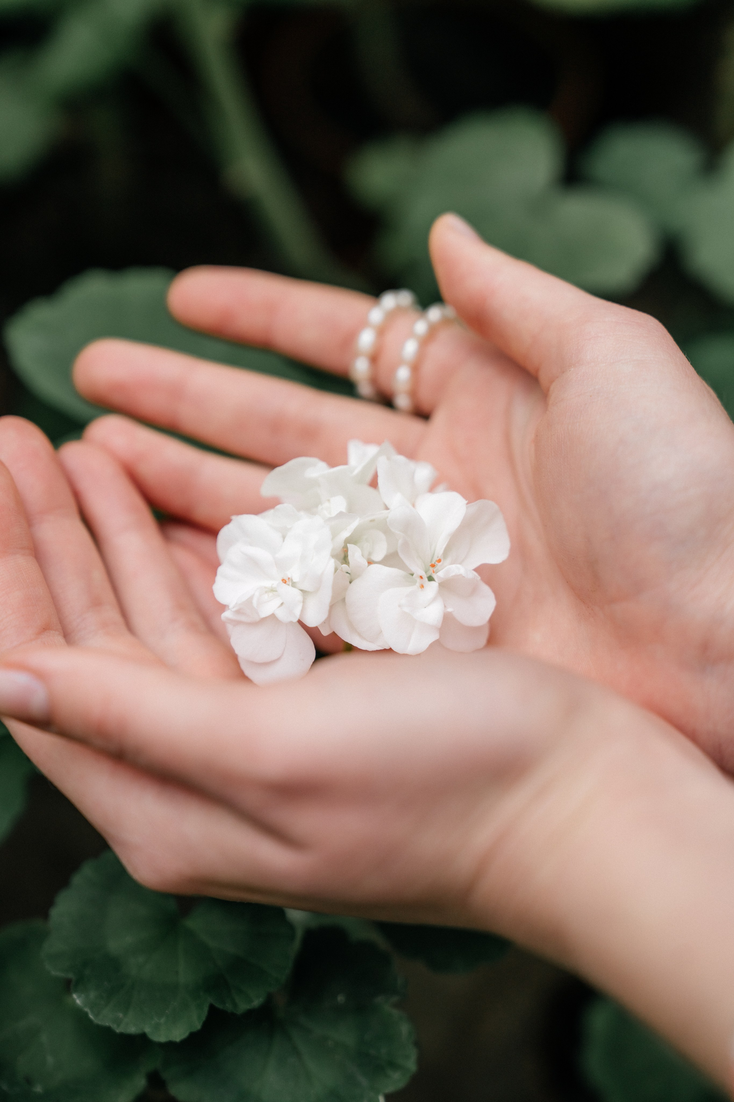 Ботанический сад. Свадебный и семейный фотограф Надежда Соловьева