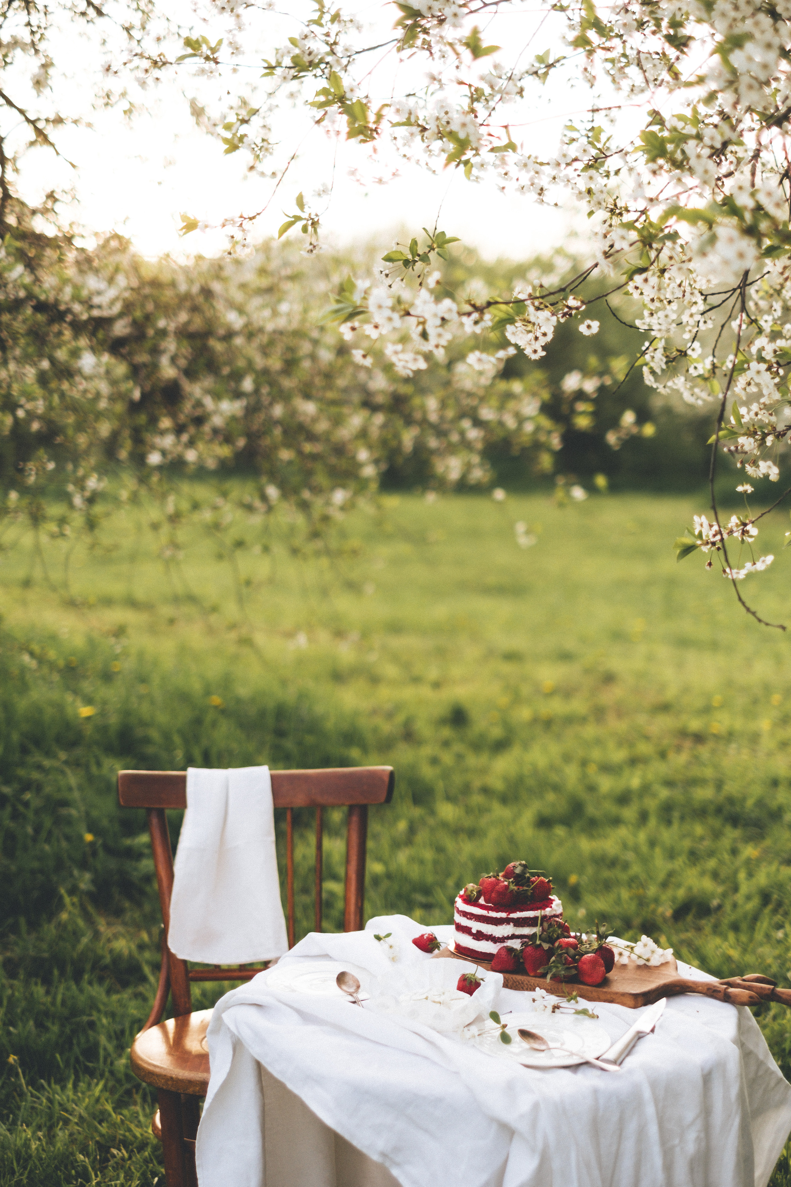 Вишневый сад