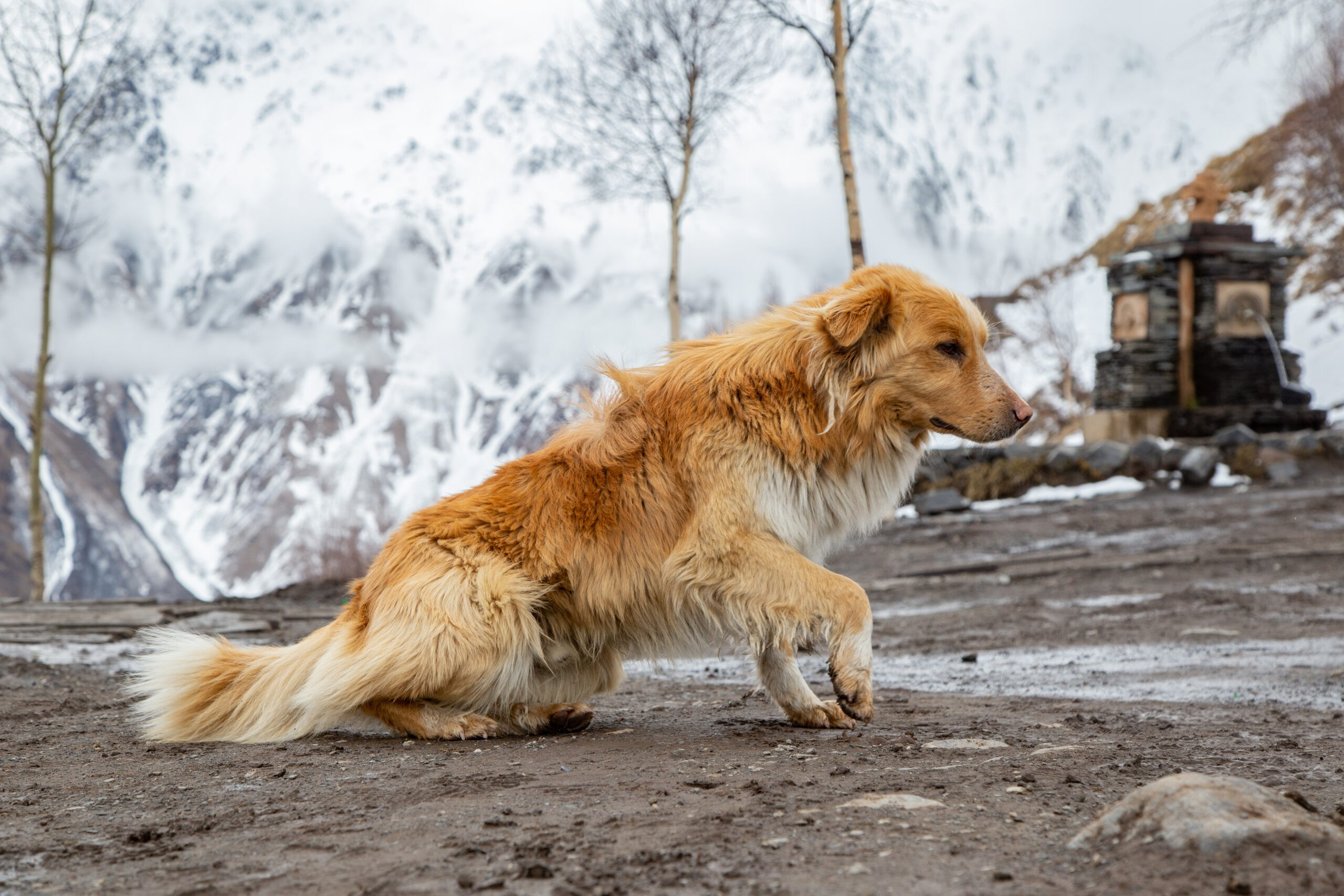 Landscape. Noam Paradise Photographer