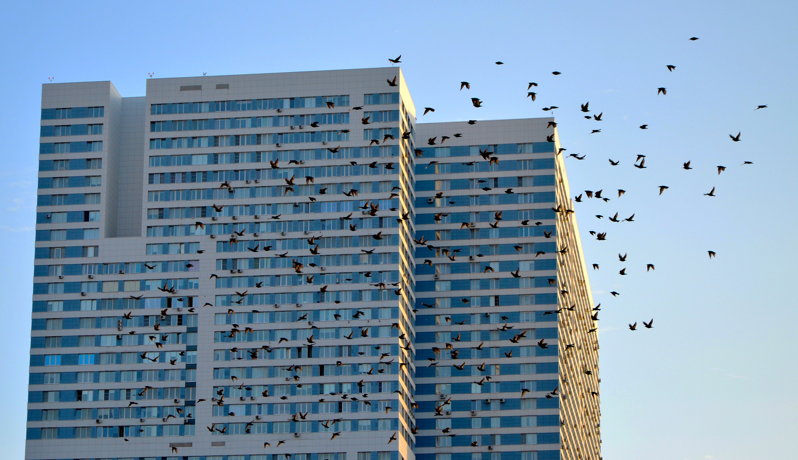 Фото. Ильнур Таминдаров