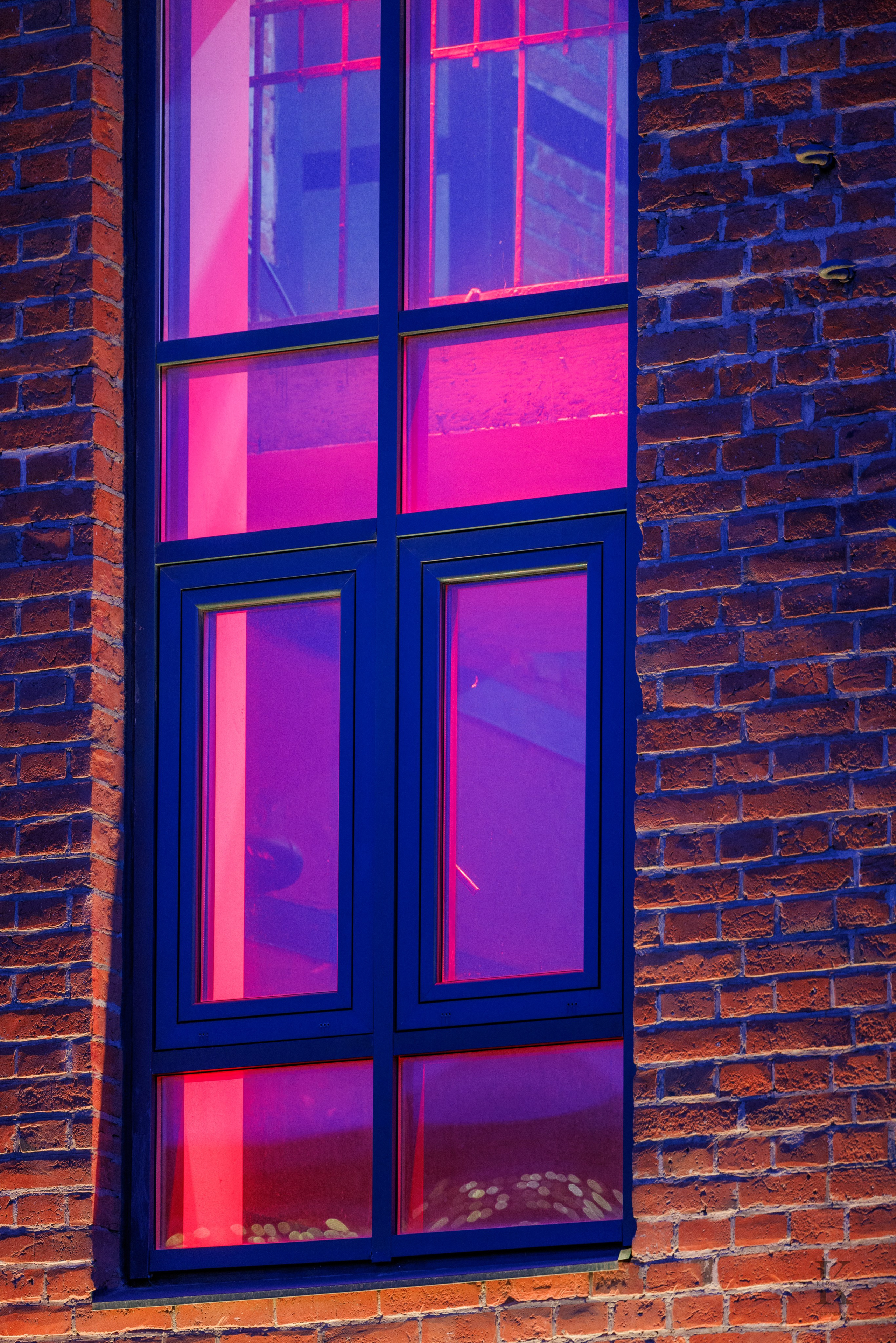 Весна в Москве 2026. Фотографирую жизнь! Московский фотограф волонтер