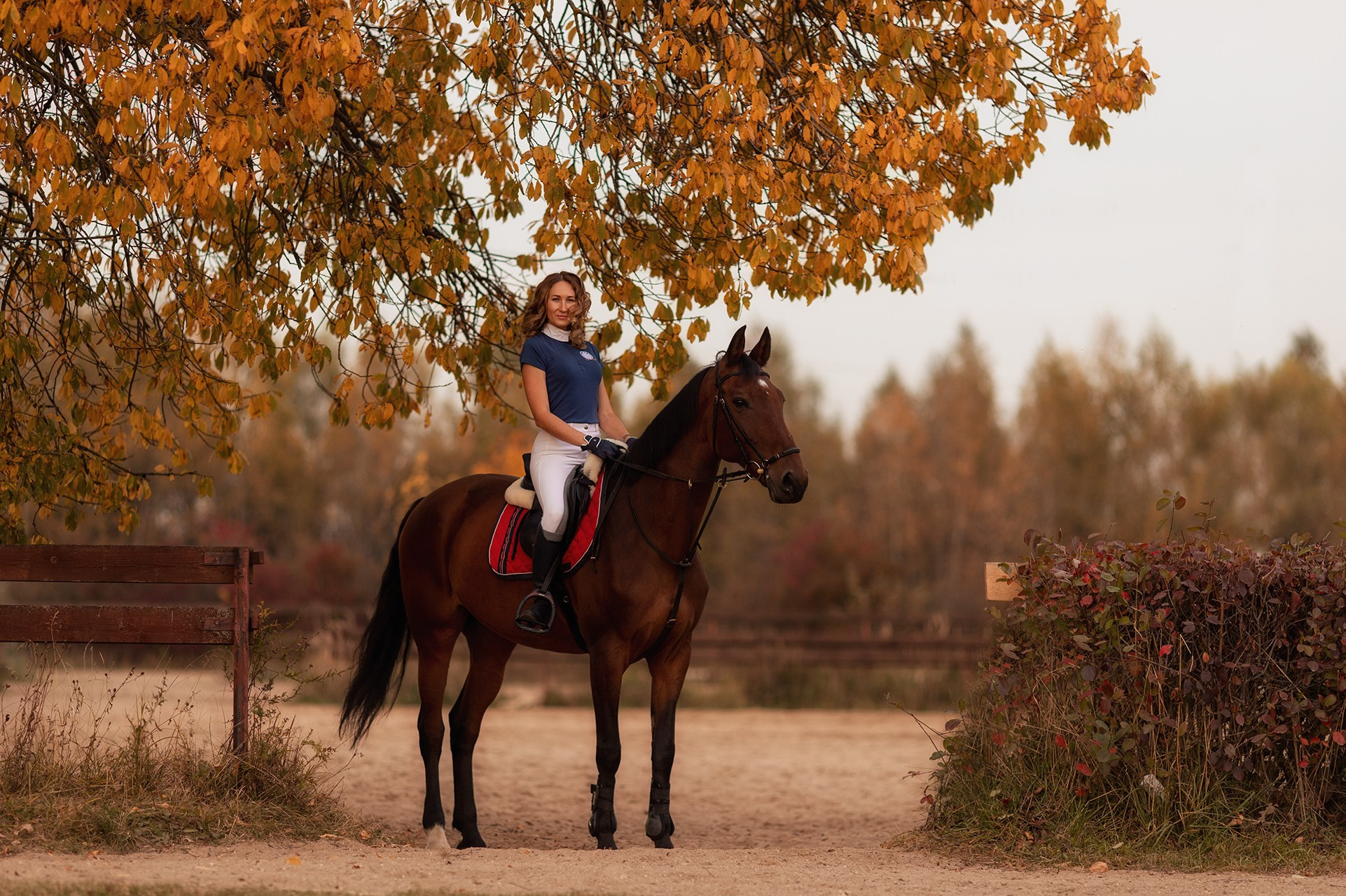 Портфолио: Фотосессия с лошадью в спортивном стиле. Фотосессии с лошадьми в Москве от Конный фотографа Кутейниковой Светланы