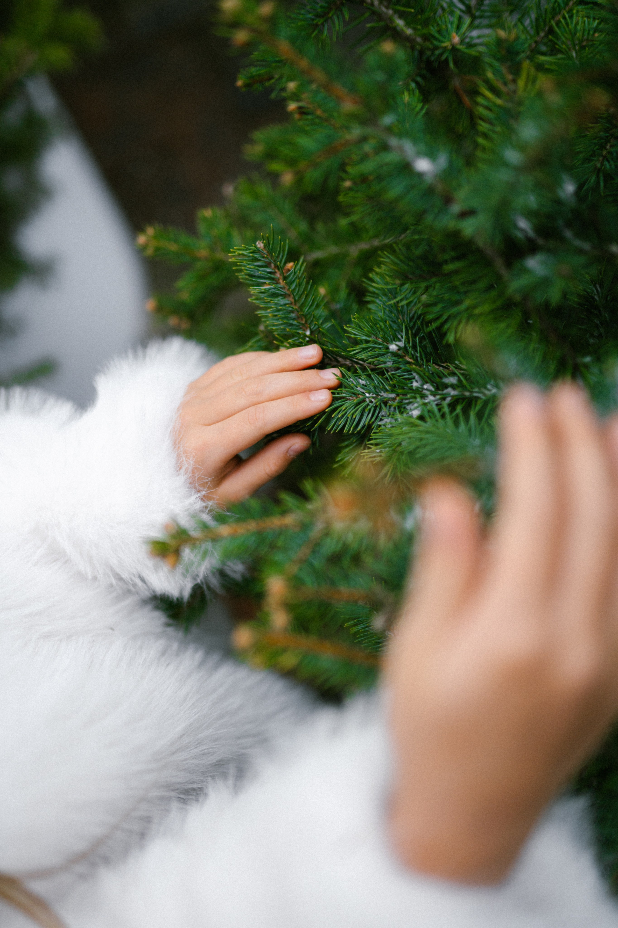 Даша семейная съемка. Фотограф в Краснодаре Баева Кристина