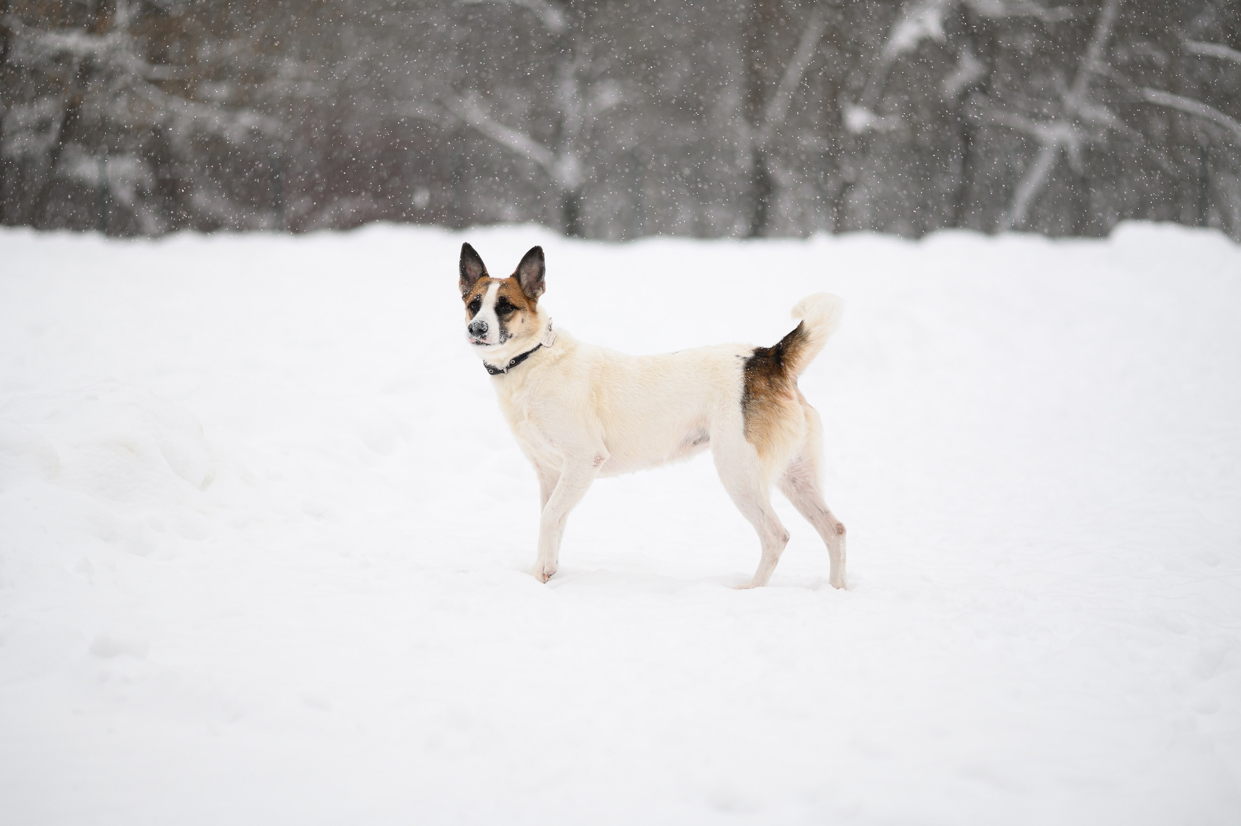 Акцент на живом. Фотограф в Москве Полина Старцева