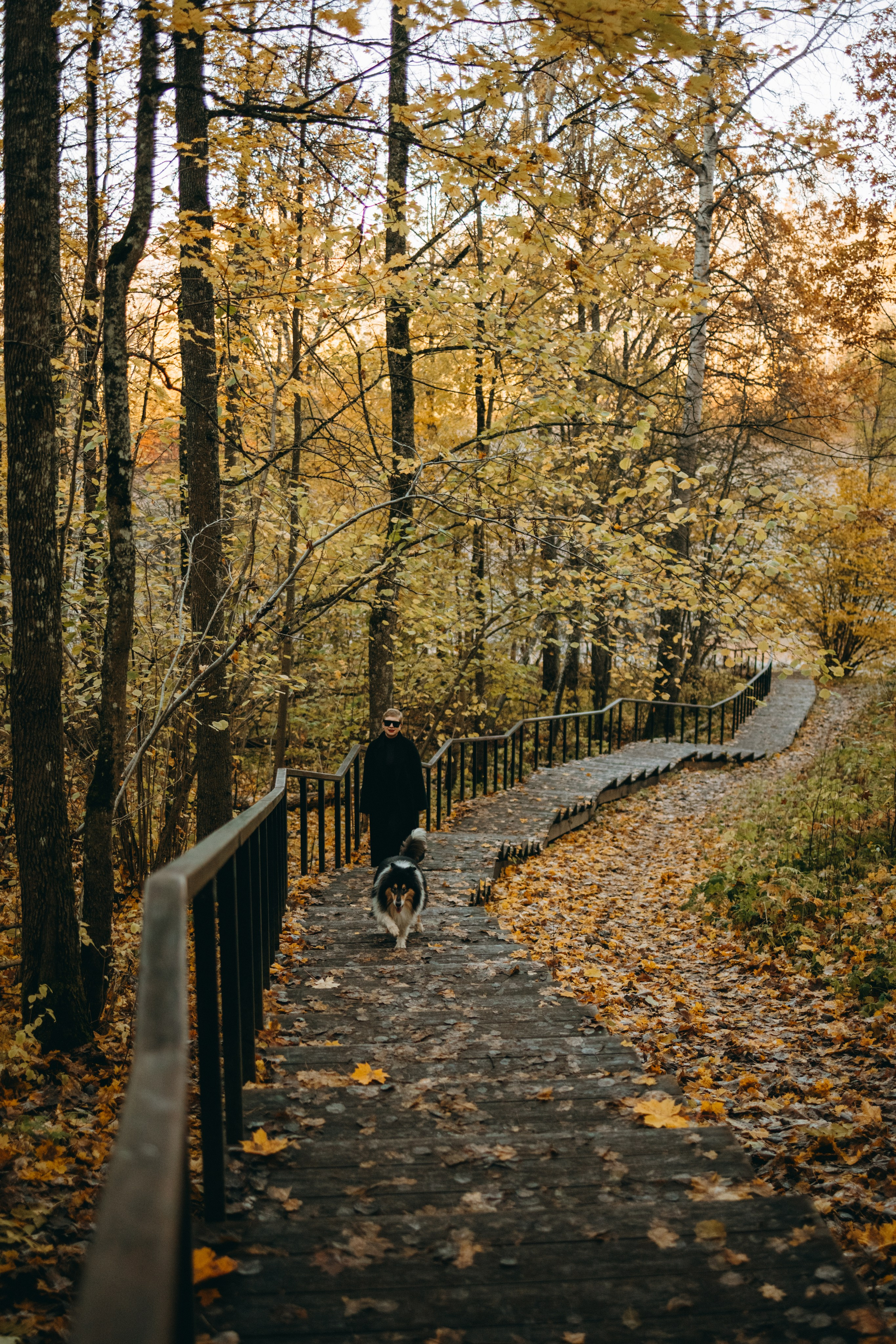 Ия и Барт. Фотограф — Анималист | Санкт-Петербург