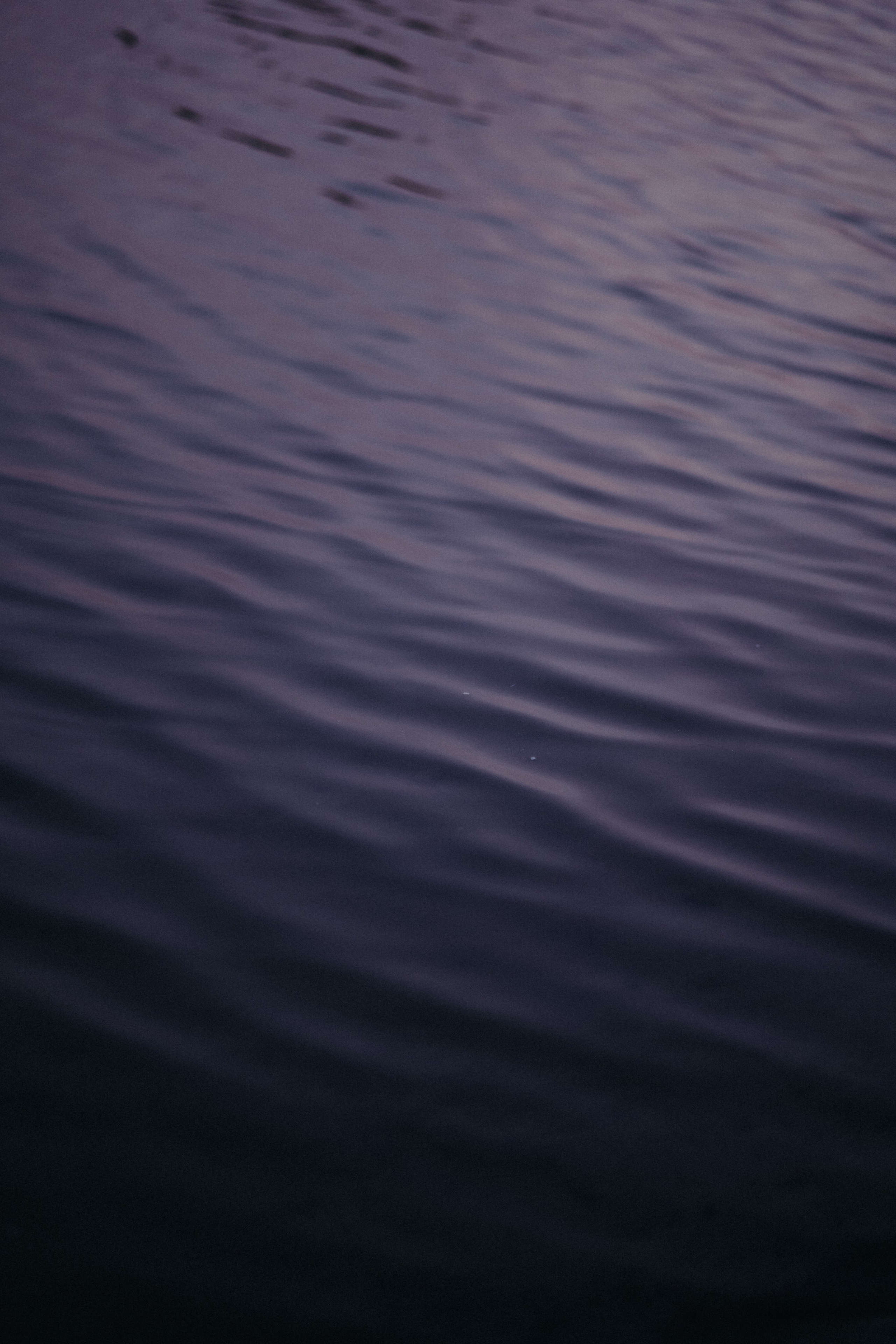 Лодочная станция, Северск. Veronika Popadeikina Photographer