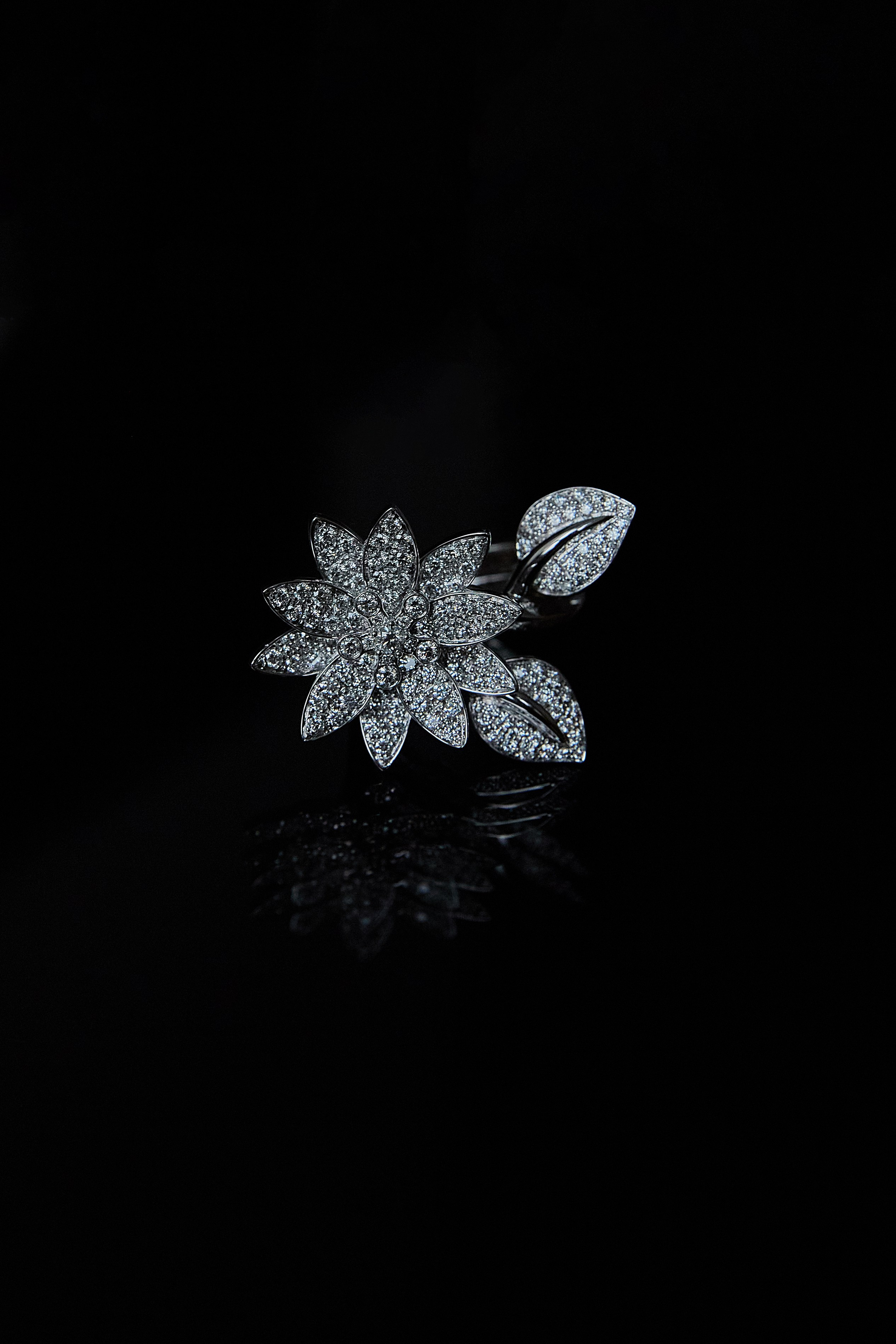 Ювелирные украшения. Фотограф