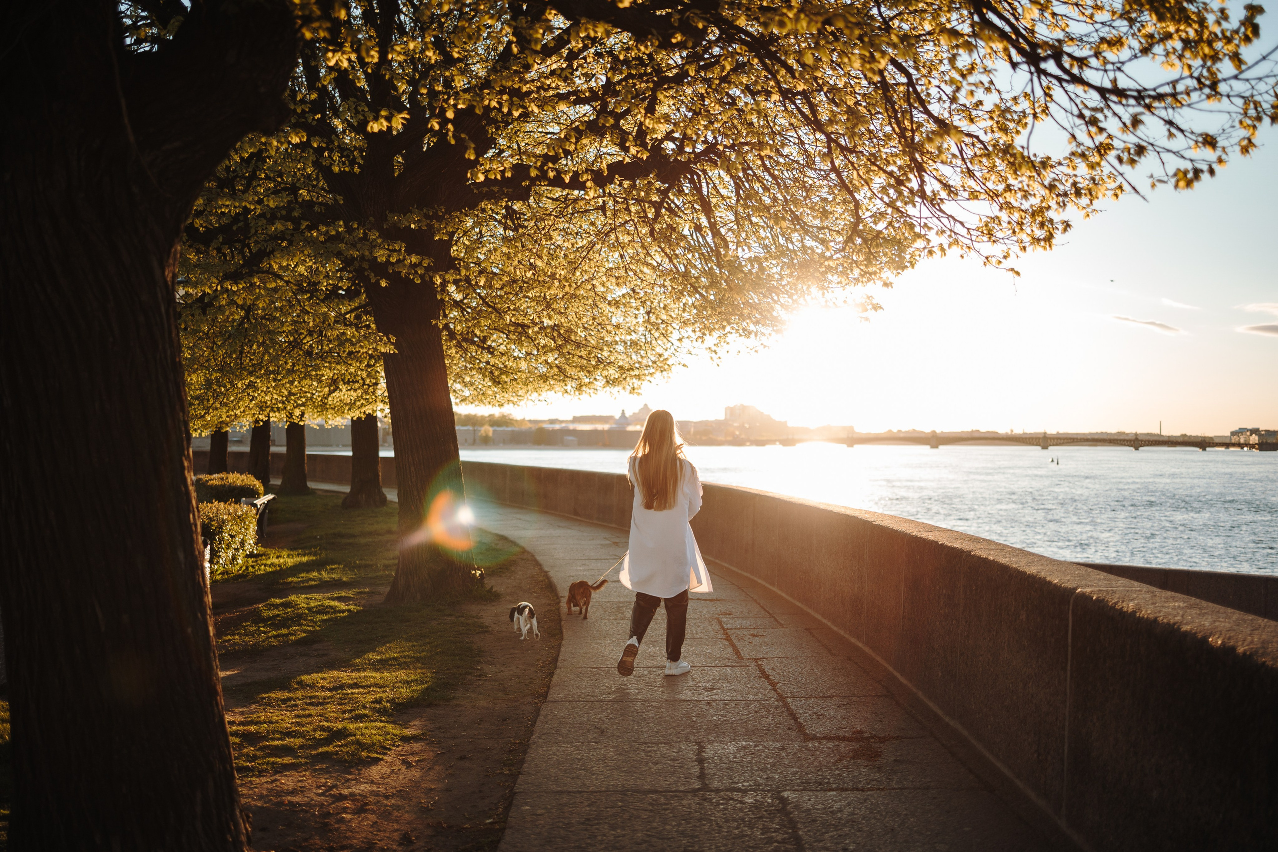 Аня, Стеша и Степан. Фотограф — Анималист | Санкт-Петербург