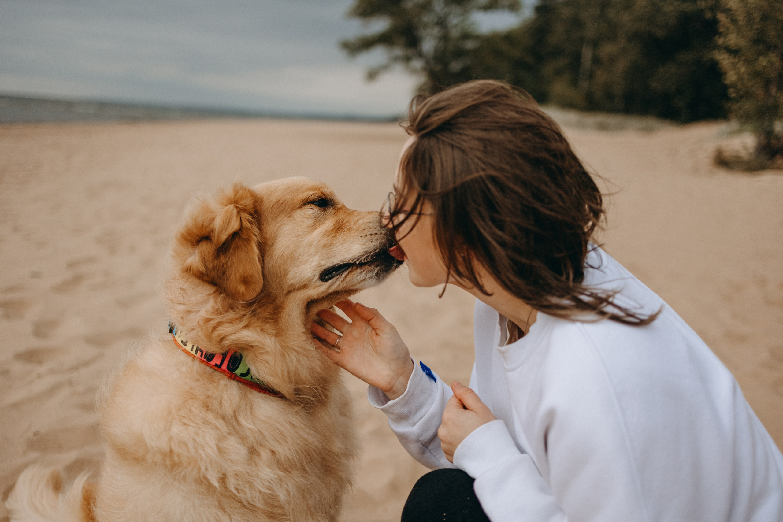 Фоси и его семьи. Фотограф — Анималист | Санкт-Петербург