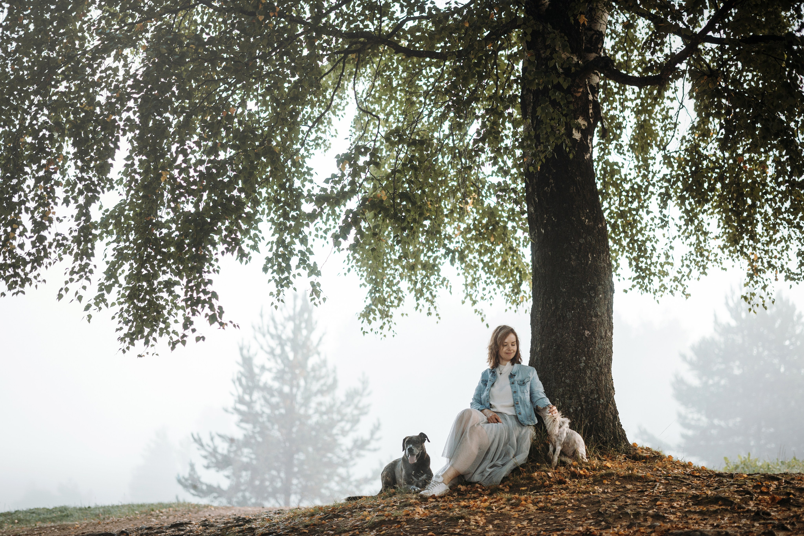 Любовь и ее хвостики. Фотограф — Анималист | Санкт-Петербург