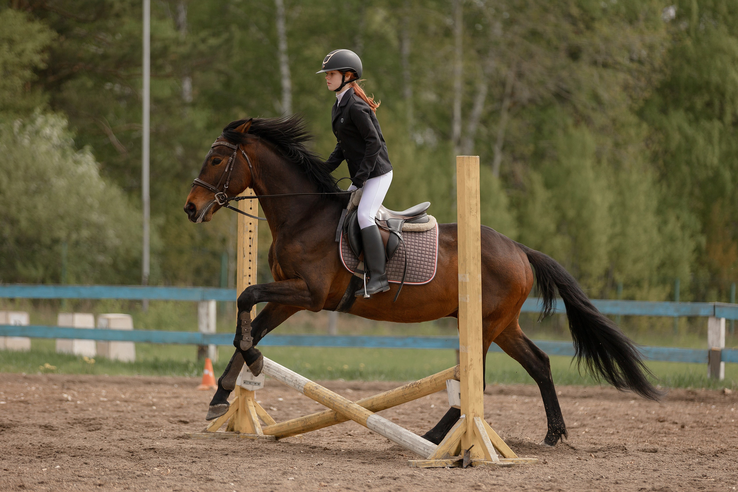 Соревнования по конному спорту. Конный фотограф Валынкина Лера