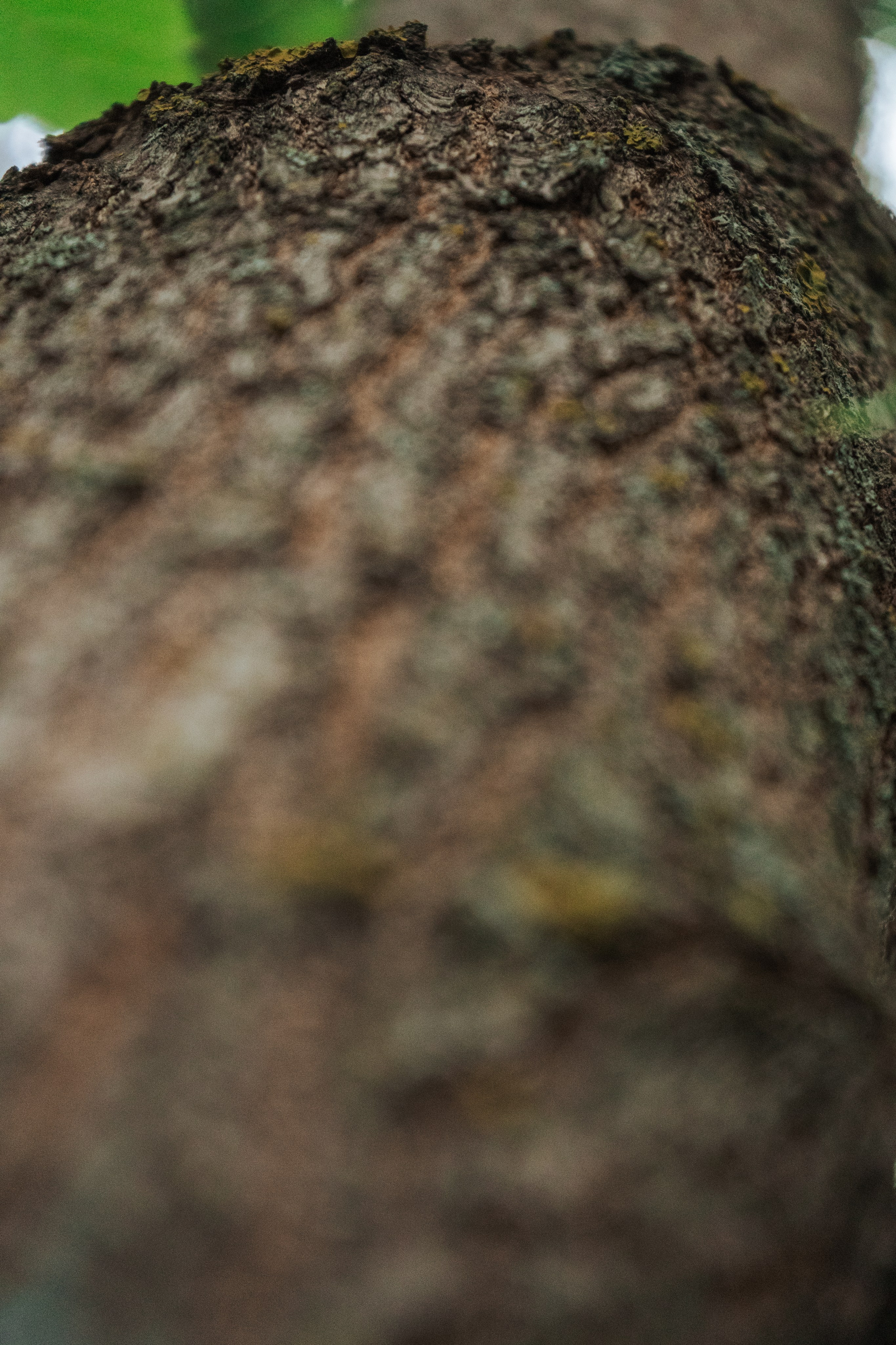 Ретрит от т-центра Псайторий 2024. Портретный фотограф Нижний Новгород