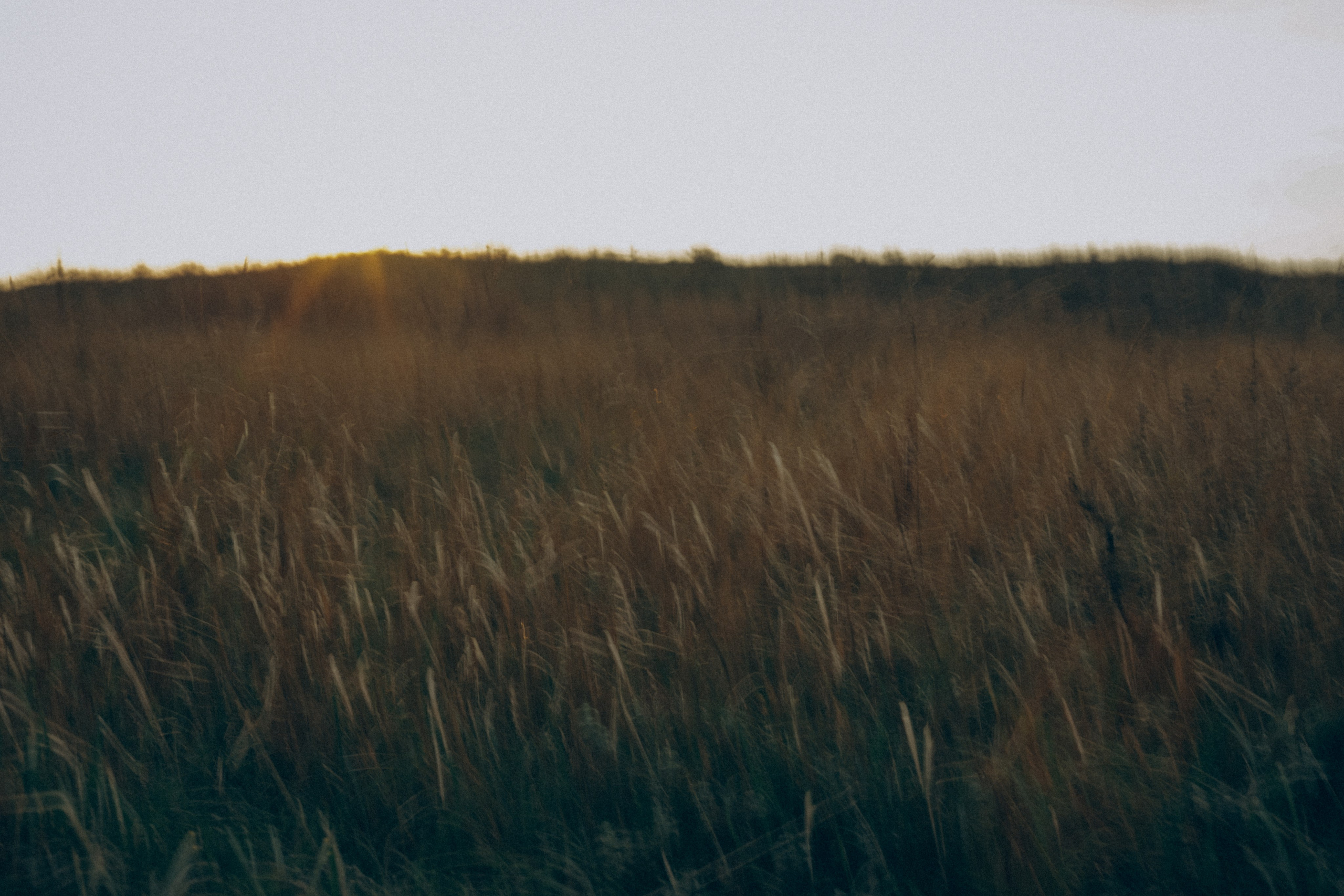Женя и Платон. Семейный фотограф Анапа