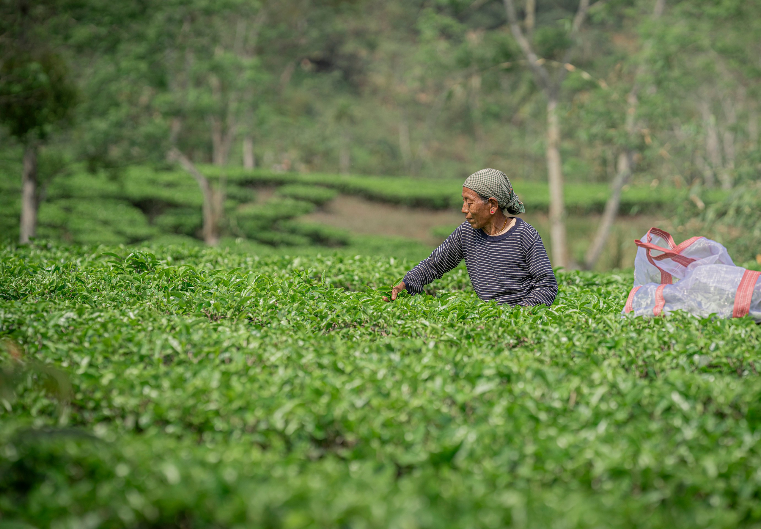 India travel. Фотограф Сергей Танков
