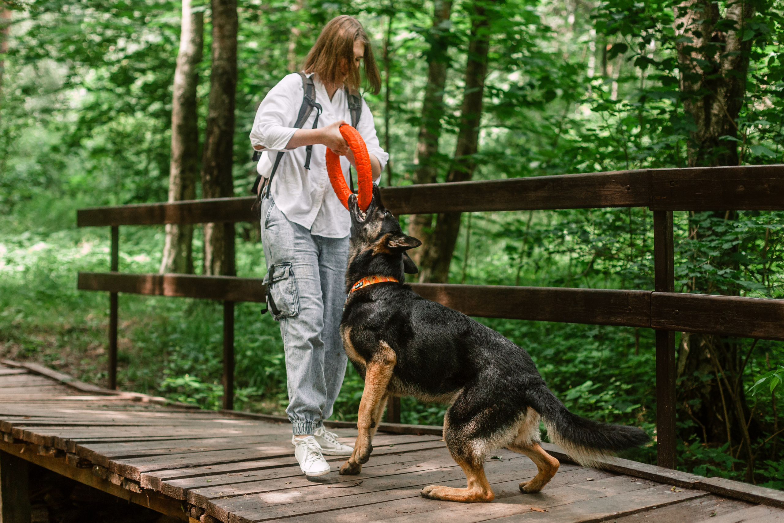 Лесная летняя фотопрогулка. Фотограф-анималист Татьяна Степанова