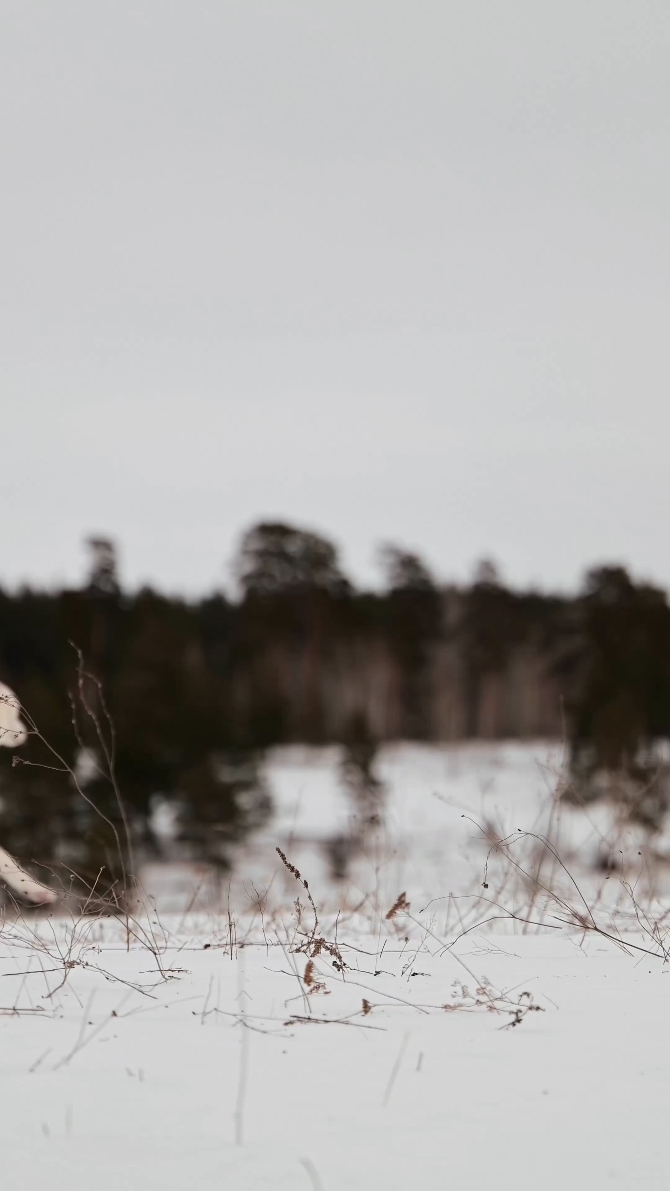 Видео рекламная/бренд. Мила Астахова