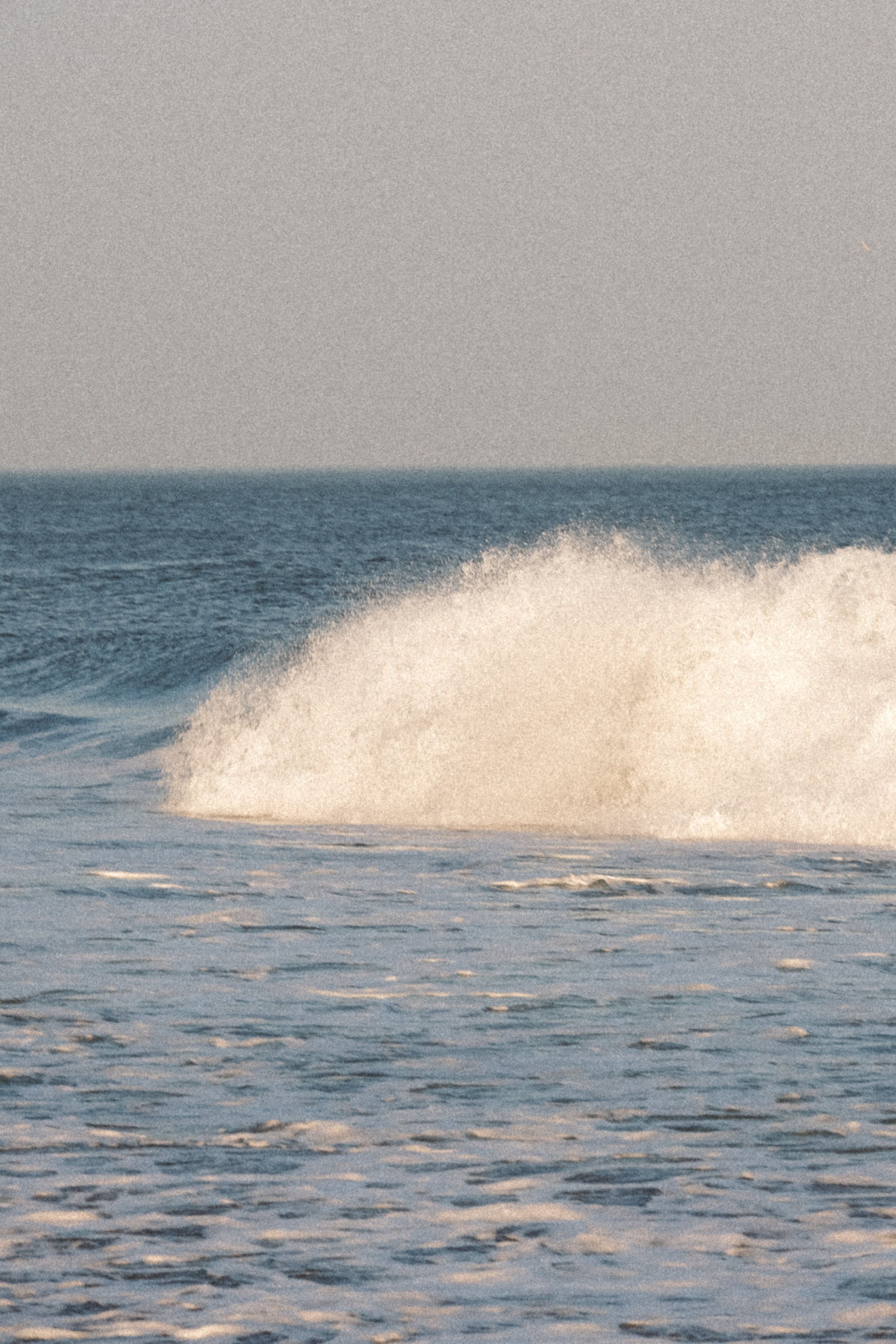 Тихий океан. Профессиональный фотограф, Санкт-Петербург — Виктория Богомолова