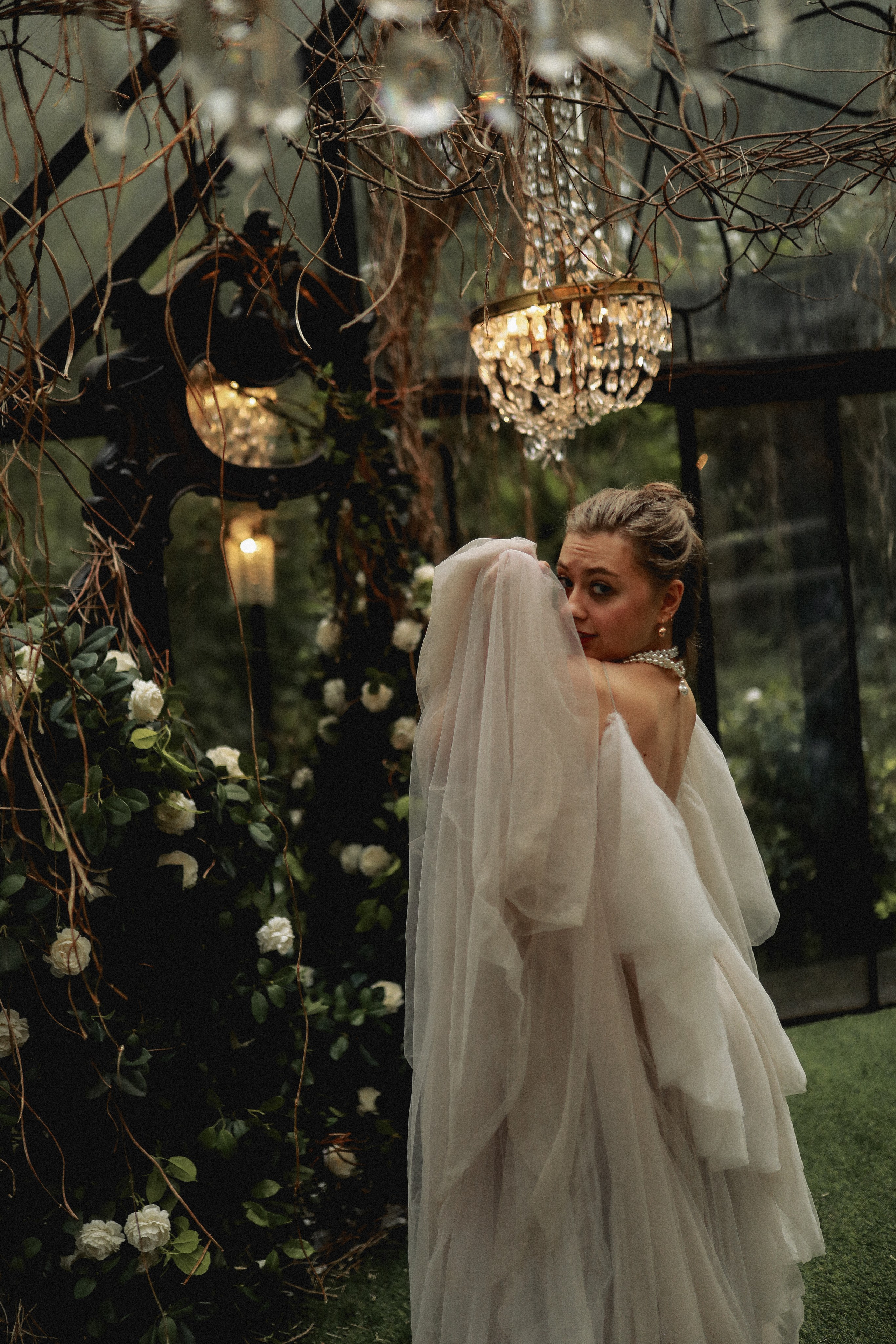 Зачарованный лес