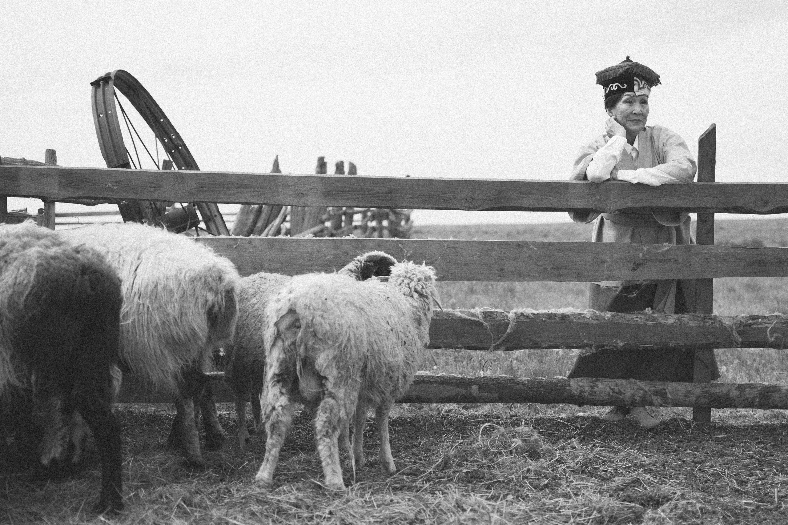 Калмыкия I Май 2024. Commercial photographer Natalia Bychkova