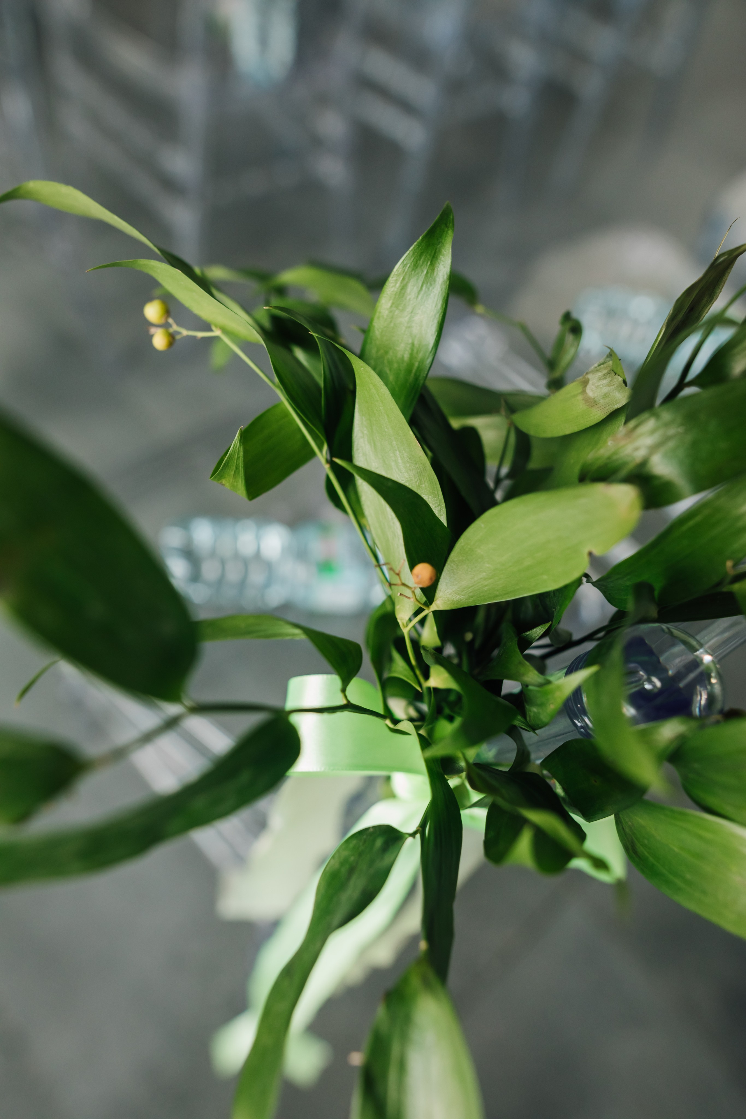 Анастасия и Лукас. Свадебный и семейный фотограф в Москве Евгения Лисина