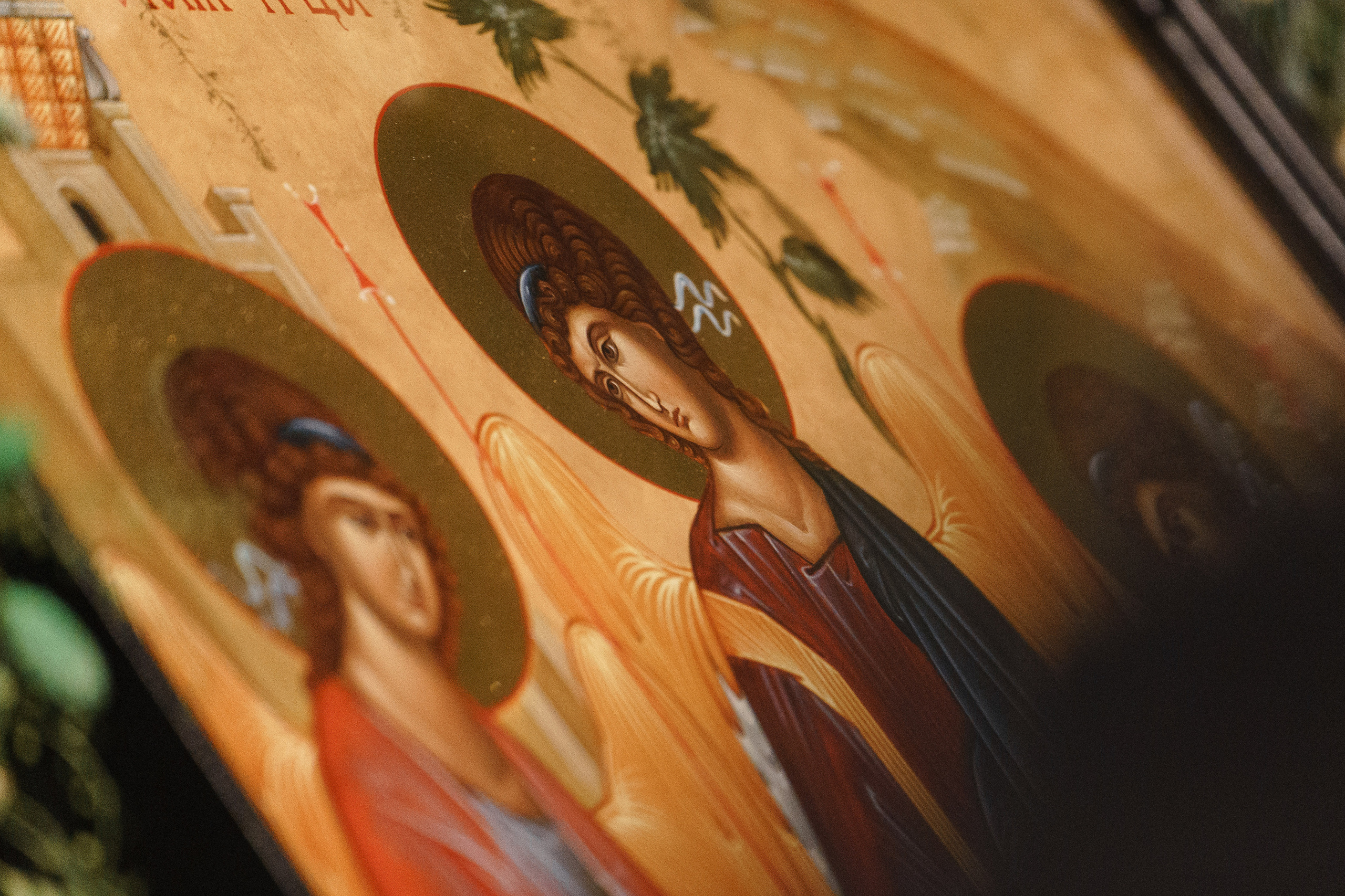 Э+В. Андрей Сухинин репортажный свадебный фотограф Санкт-Петербург