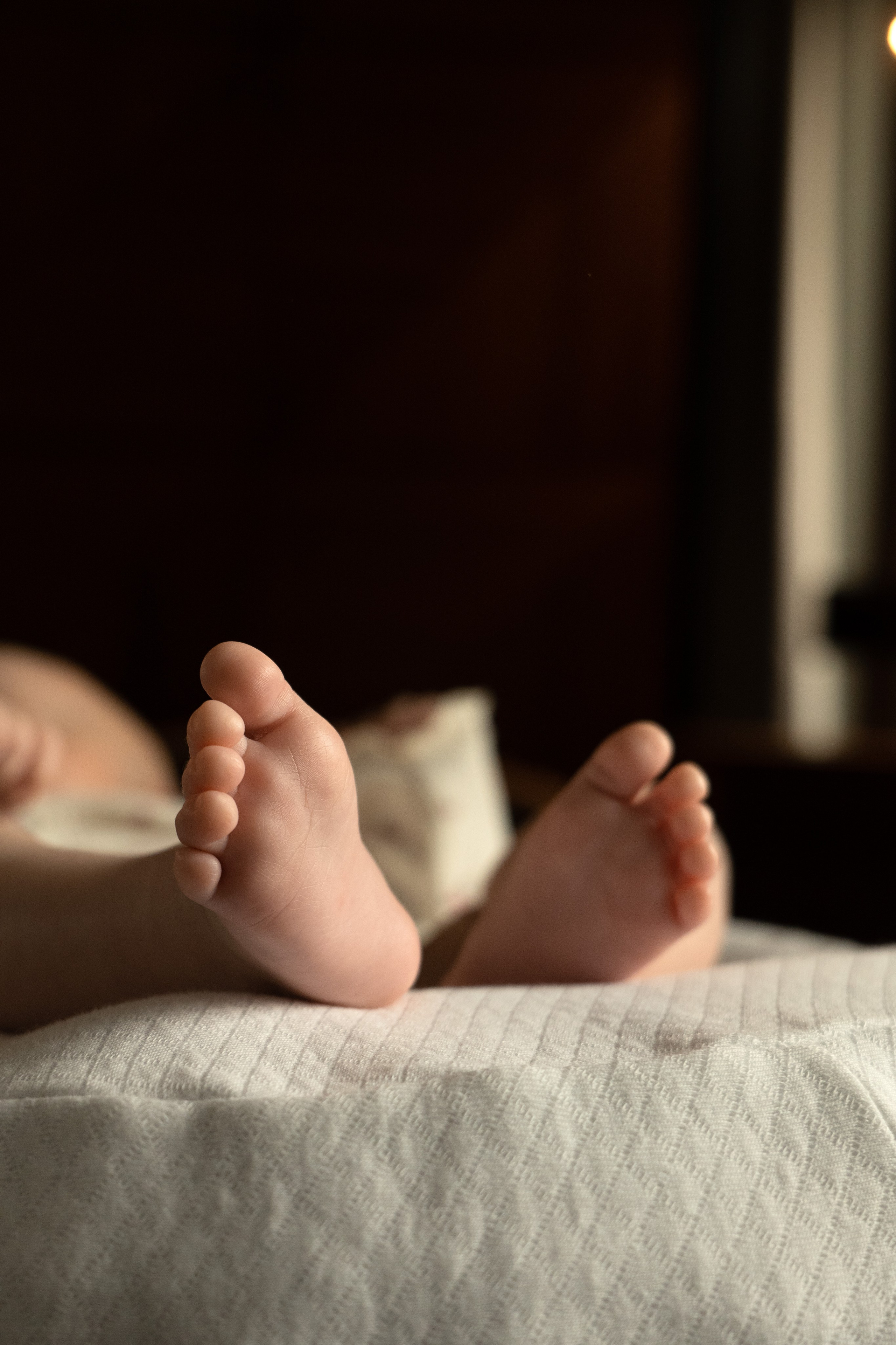 Семейная фотосессия (Ае 2 месяца). Фотограф видеограф Ольга Василевская