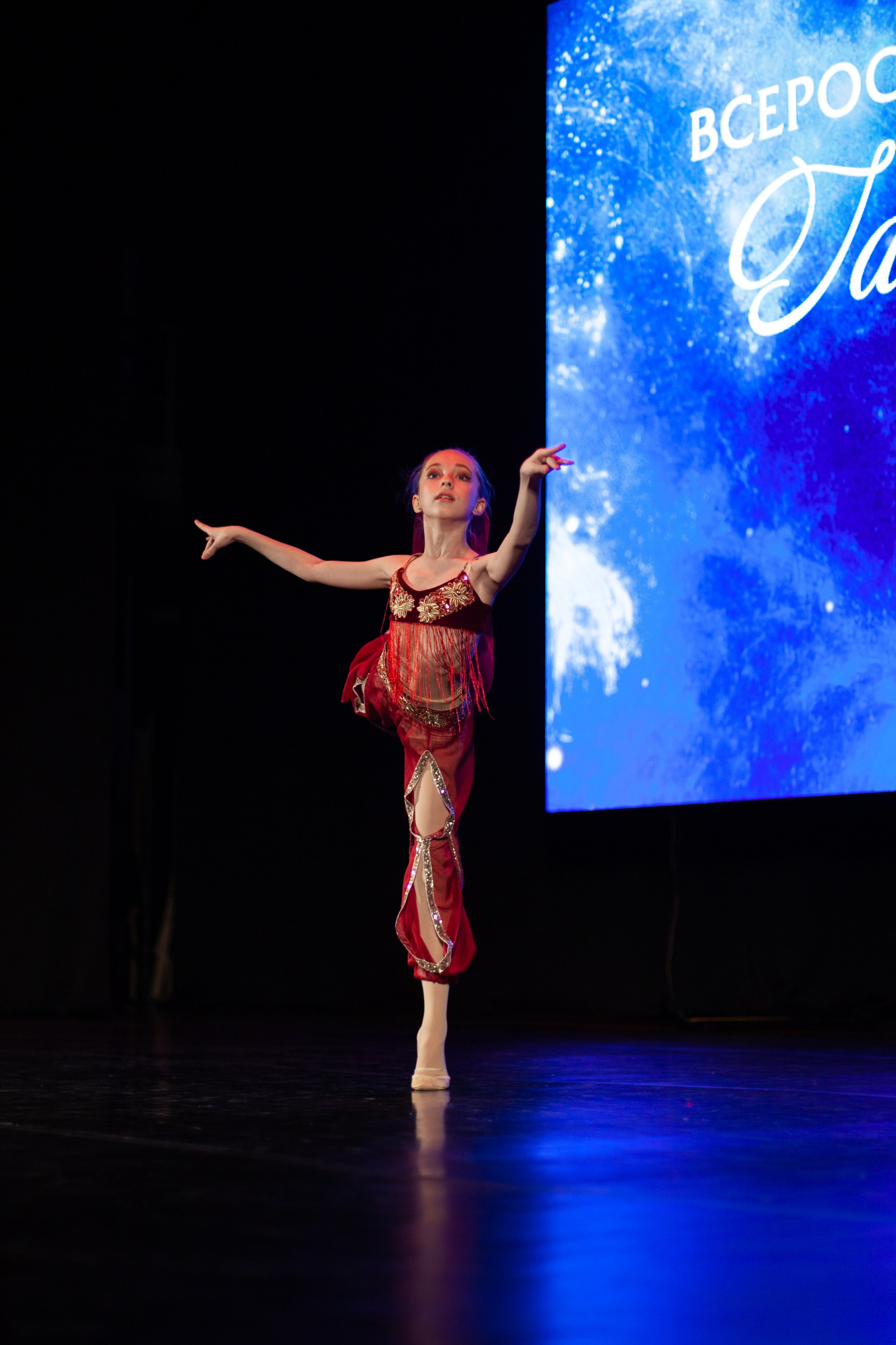 Концерты. Виолетта Скрипка