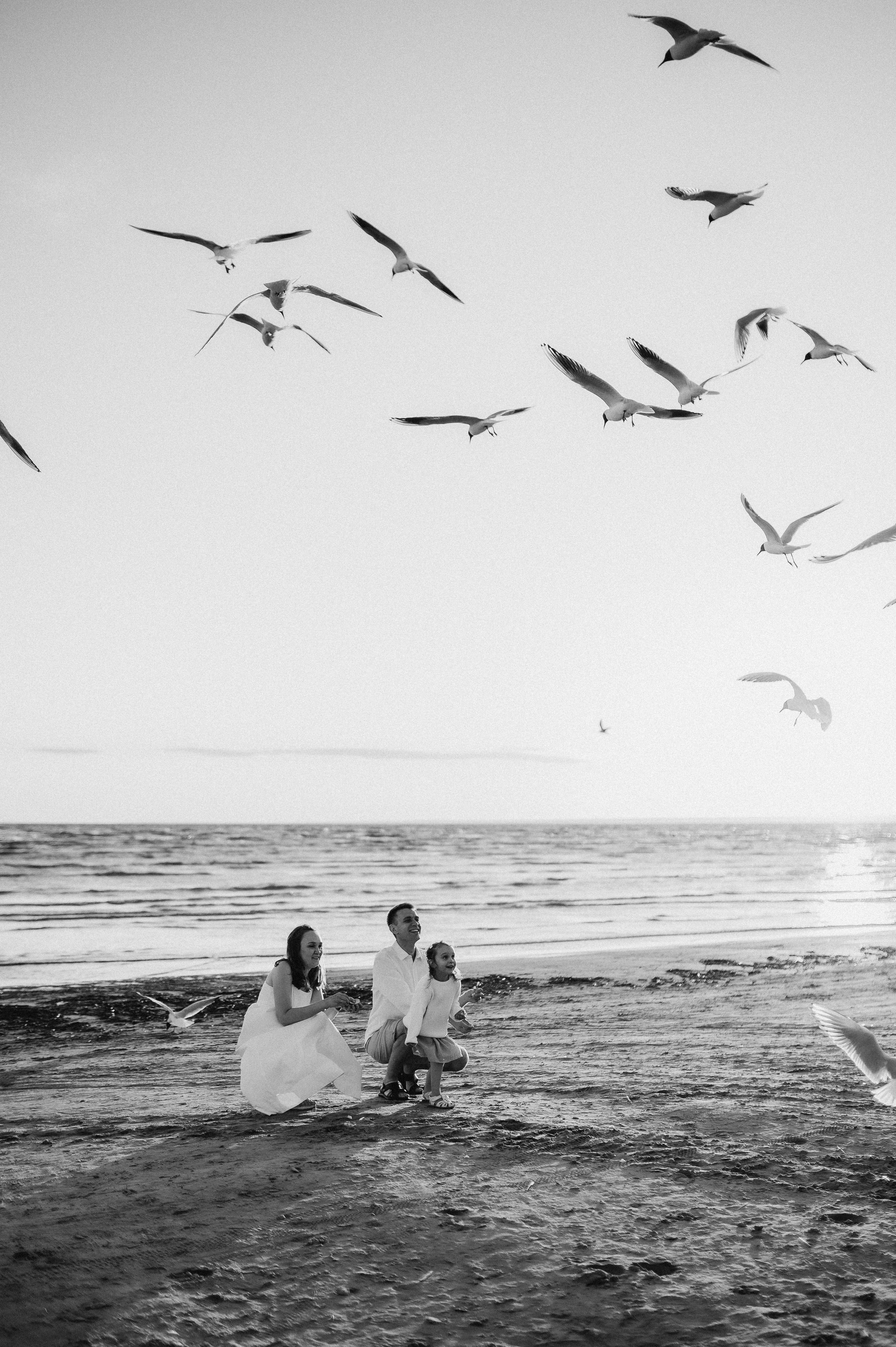 Семейная на заливе. Фотограф ПИТЕР СПБ Надежда Баранова