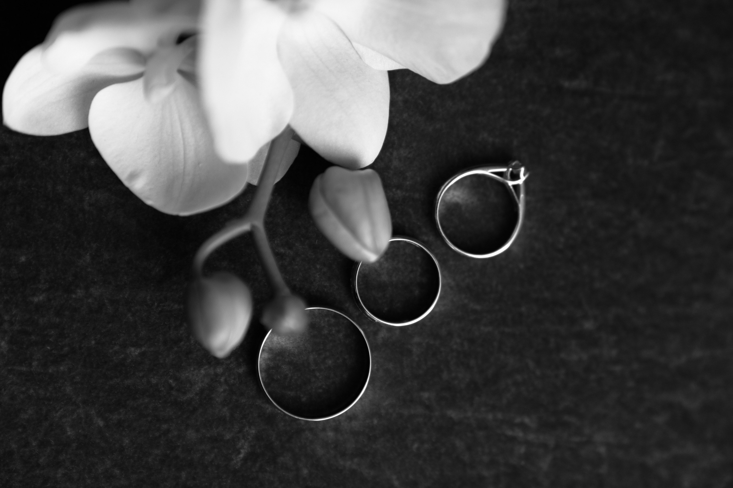 Прикосновение твоих рук. VENSKAYA WEDDING & EVENT PLANNER