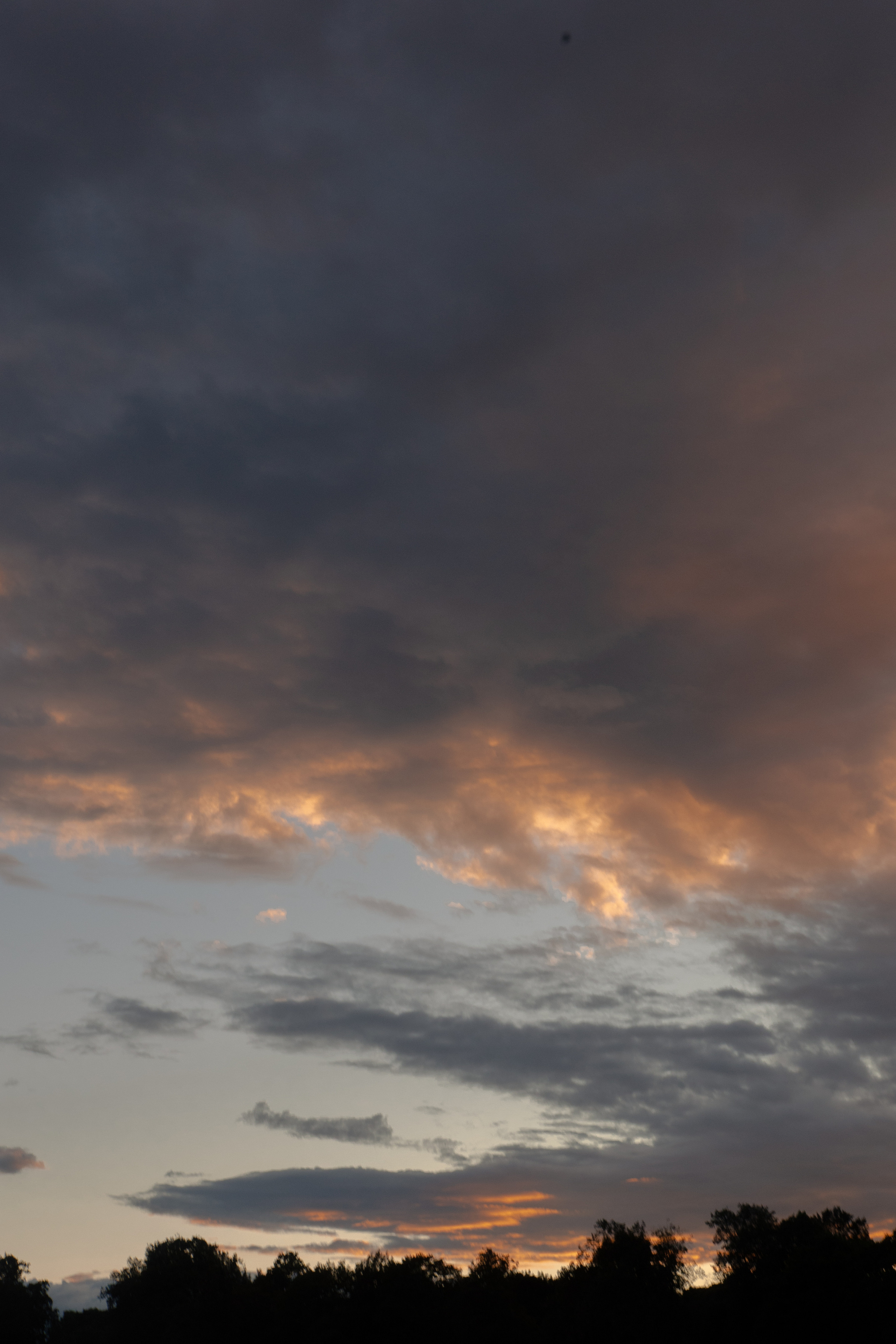 Алексей и Анна. @dariazphoto свадебный фотограф