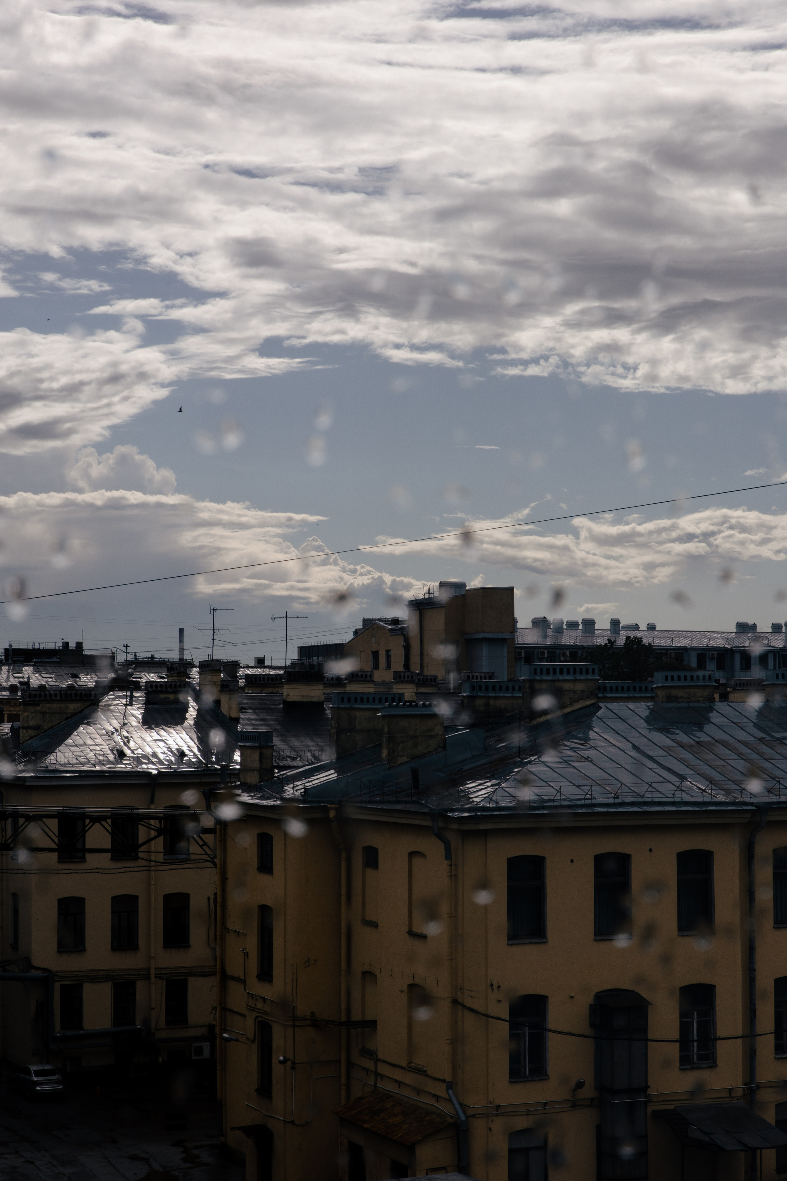 Алексей и Анна. @dariazphoto свадебный фотограф