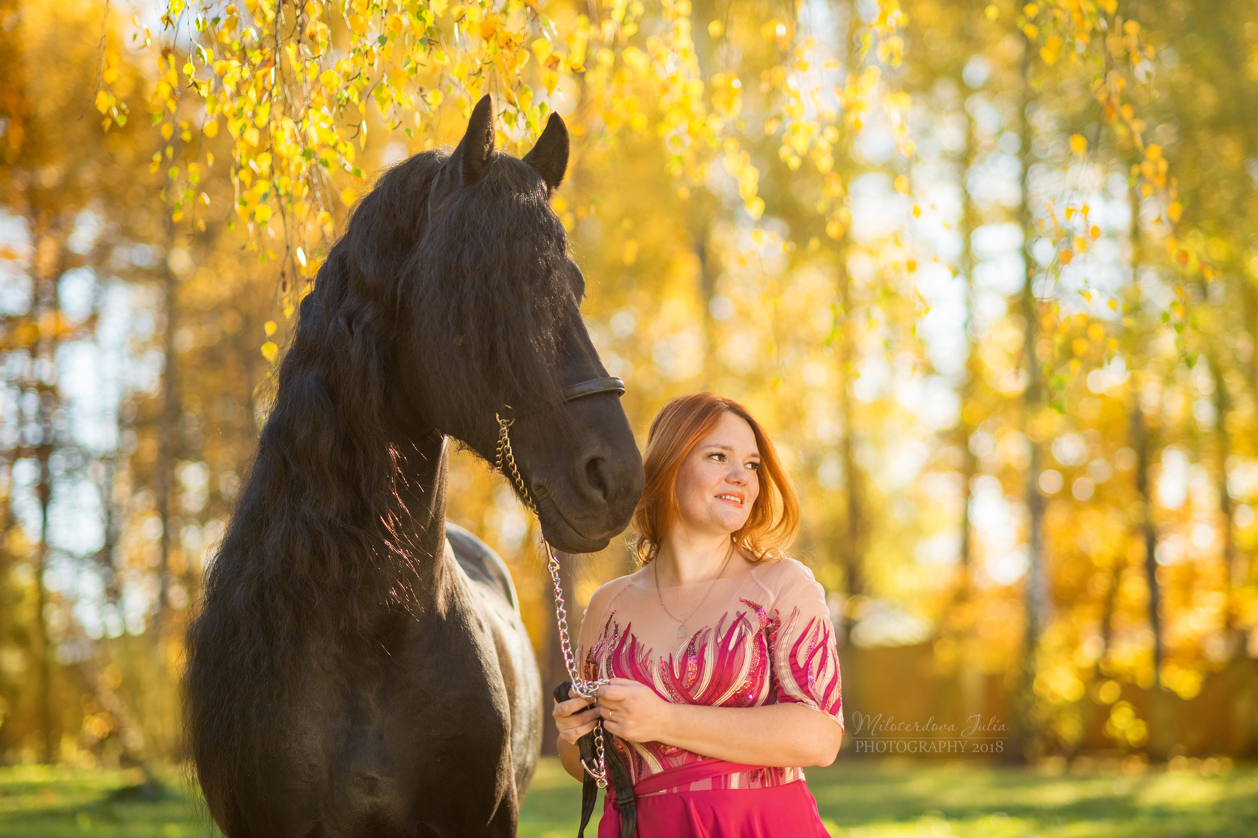 Фотосессии с лошадьми. Фотограф Юлия Милосердова