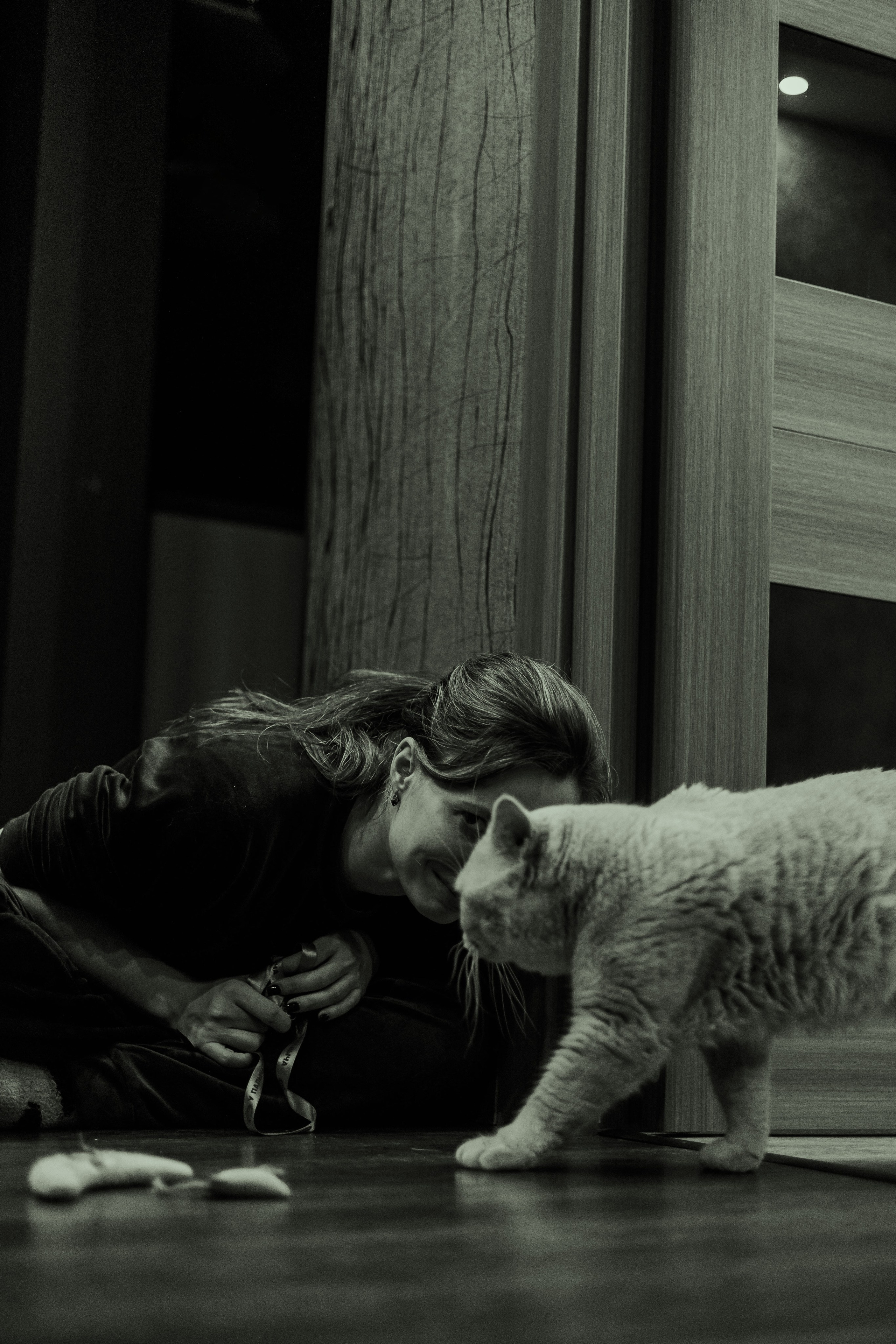 Иксик, Маффин и Надя. Фотограф Анималист Екатерина Справцева в Нижнем Новгороде