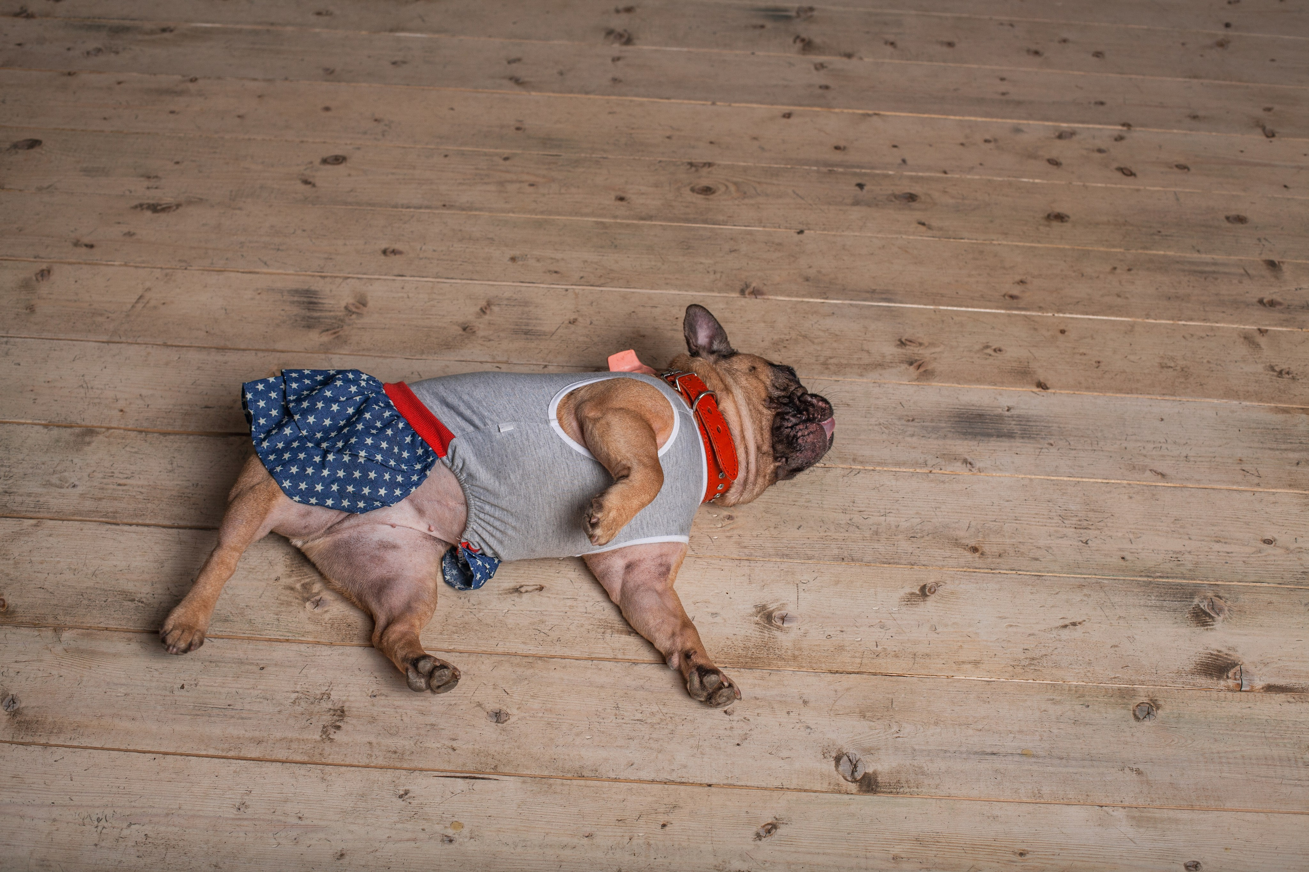 Наталья и Фрося. Фотограф-анималист Татьяна Степанова