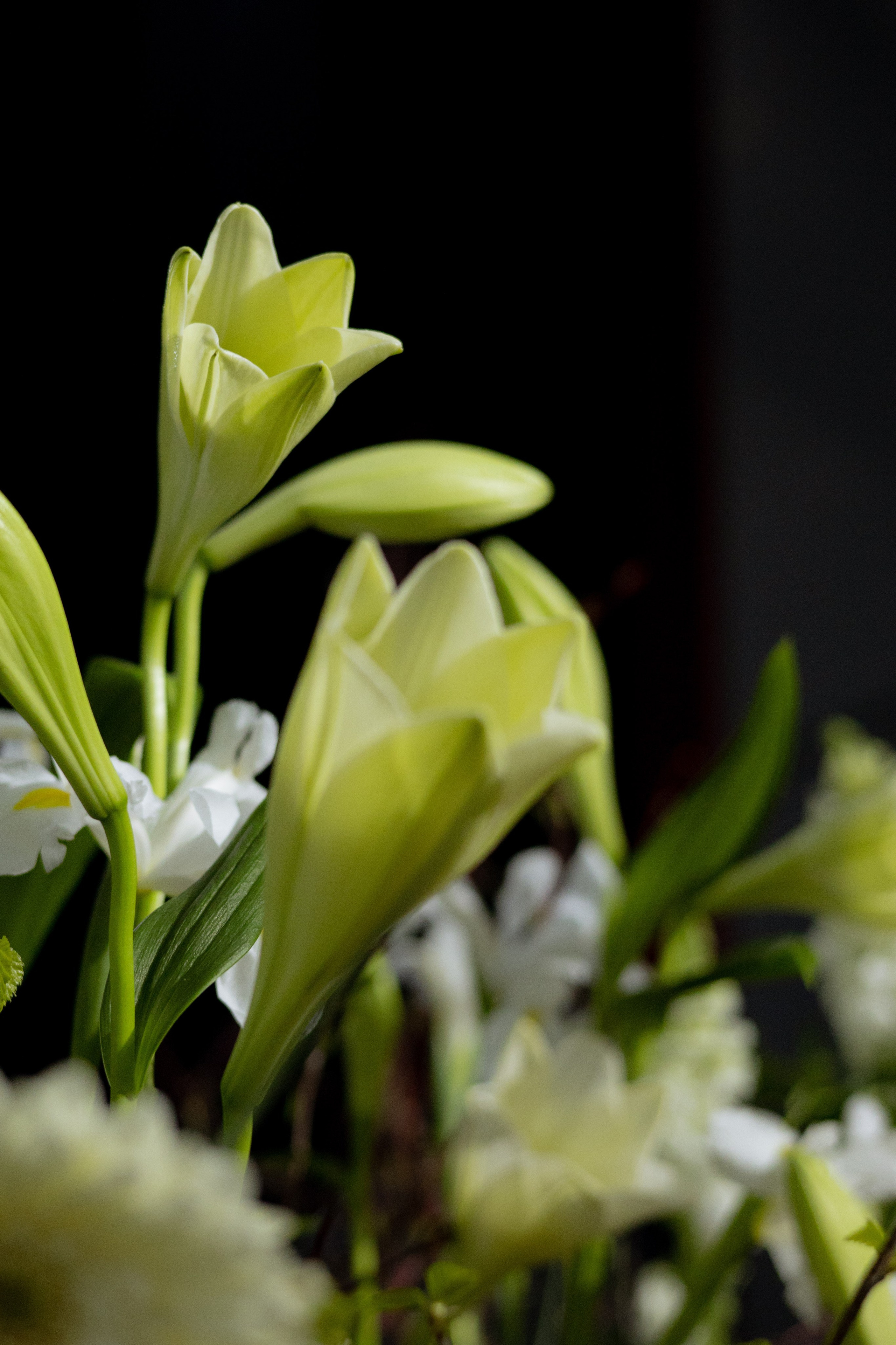 Оформление Отчетного концерта Музыкальной школы Глазунова. Оформление свадеб, декор свадеб Вера Маркова, Москва