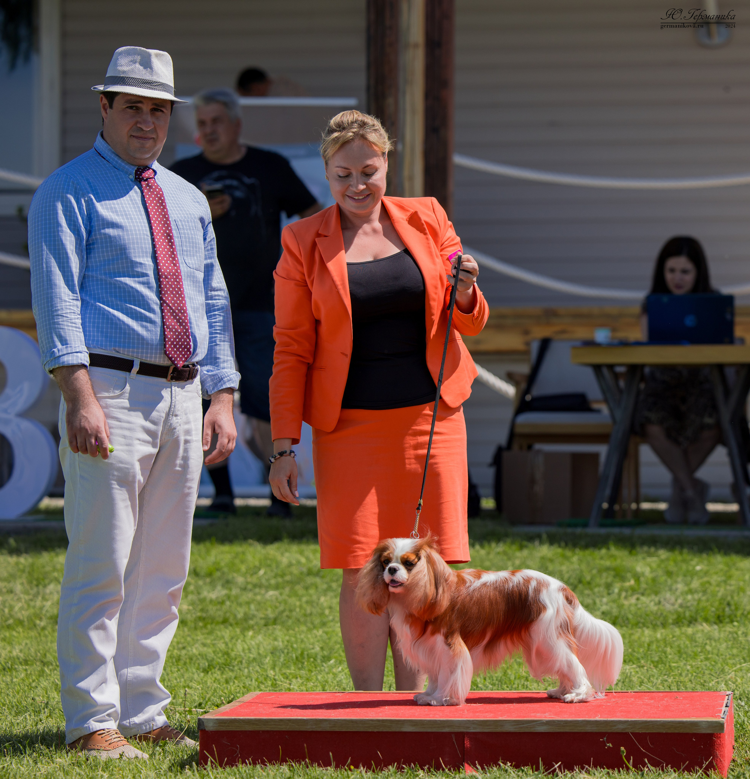 Ереван 3-5.06.2024. Фотограф-анималист Юлия Германика