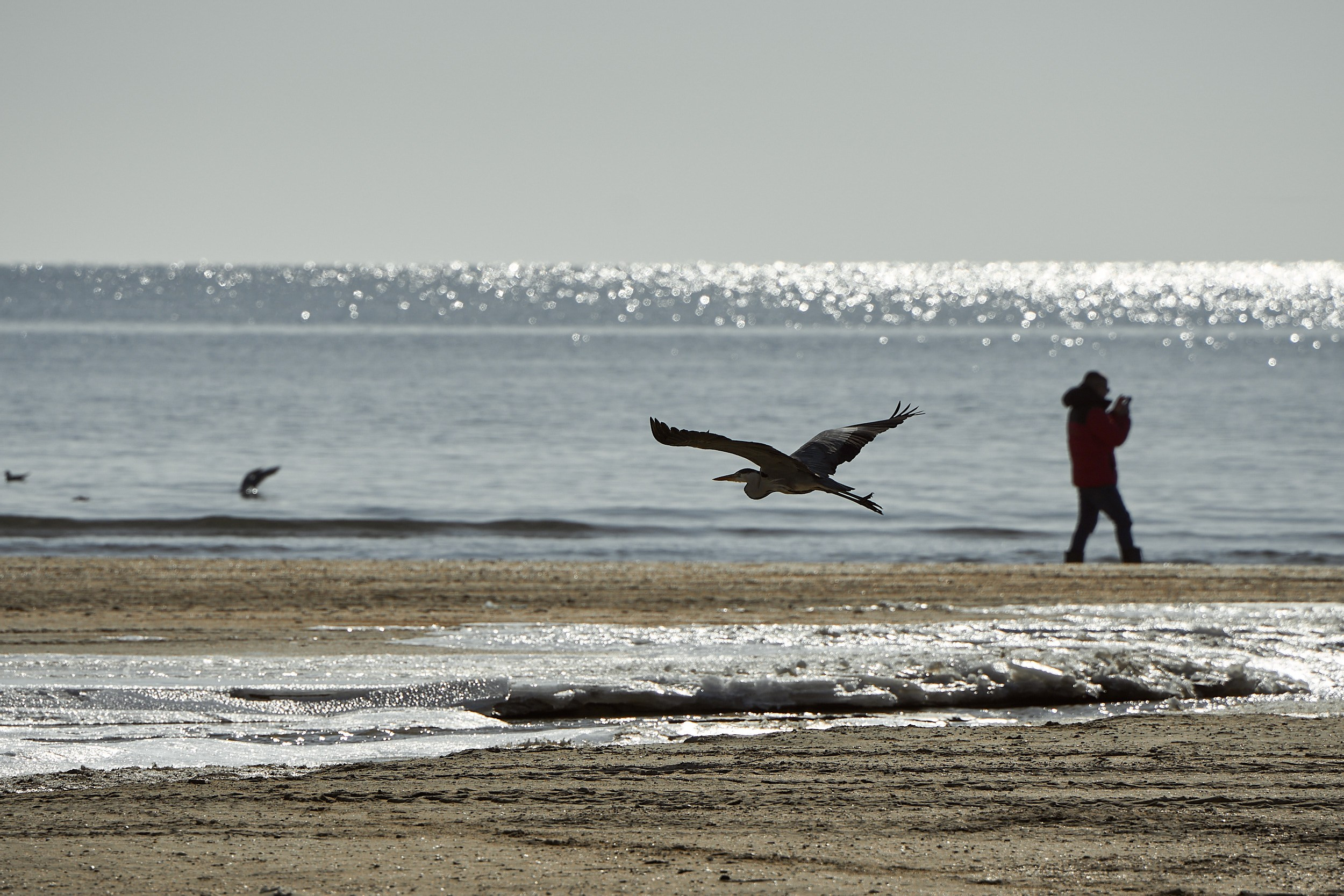 Фотографии улиц и пляжей Анапы. Профессиональный фотограф в Анапе Артем Ковальский