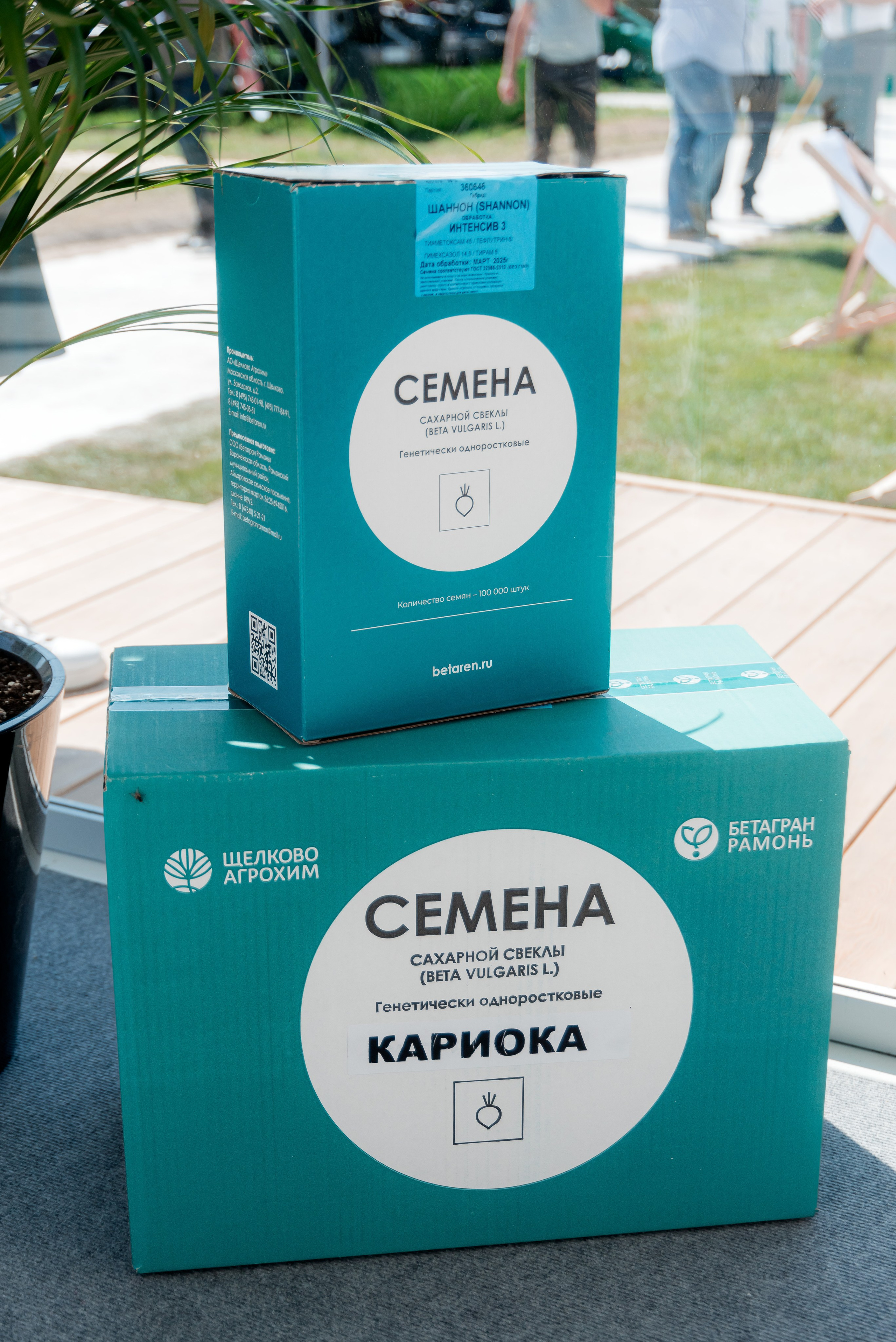 День Поля 2025. Фотограф в Волгограде и Волжском Александр Горбань