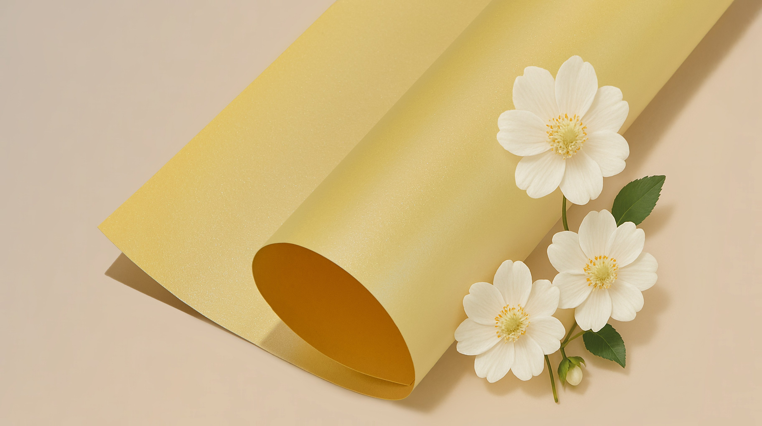 Съемка товаров из бумаги в Москве. Предметная фотосъемка бумажной продукции для брендов-производителей