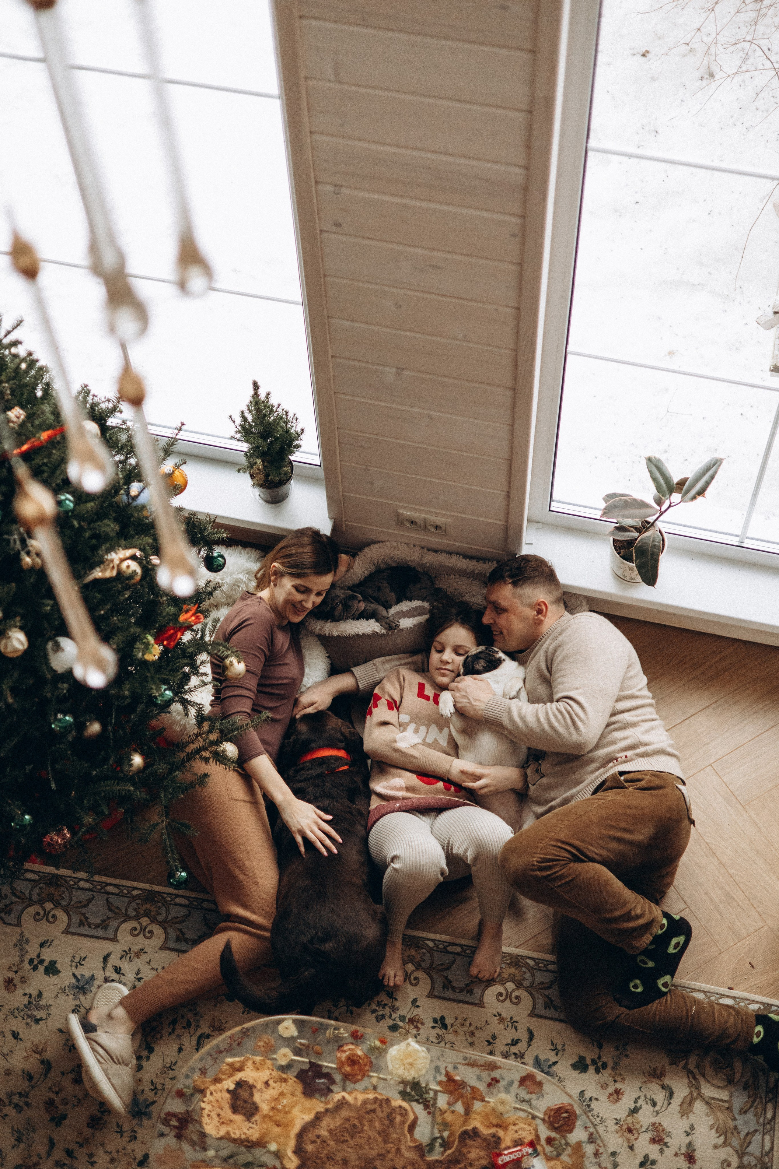 Семейная для Ксюши. Фотограф — Анималист | Санкт-Петербург