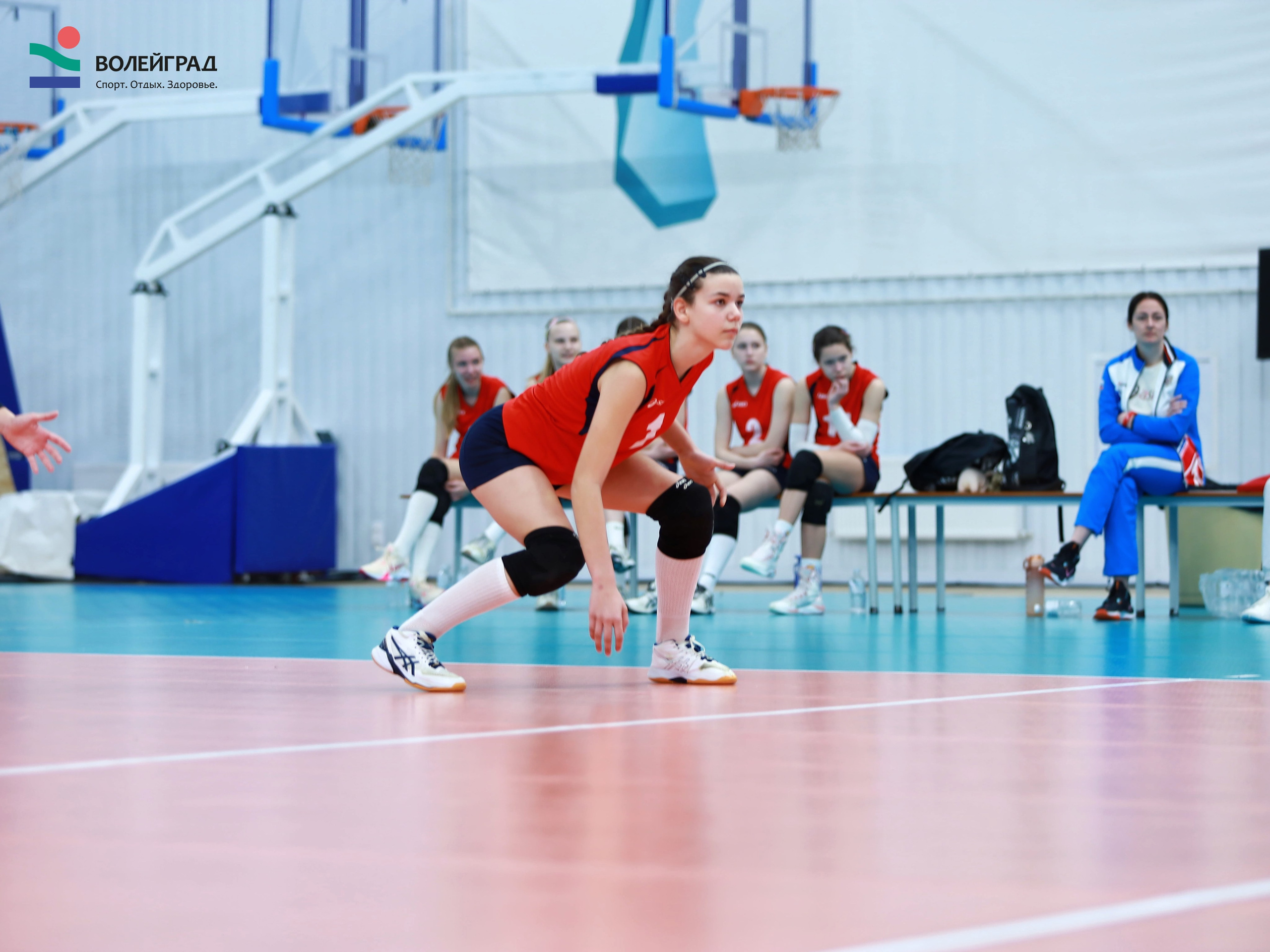Волейбол ВФВ 07.04.24. Репортажный фотограф Анапа